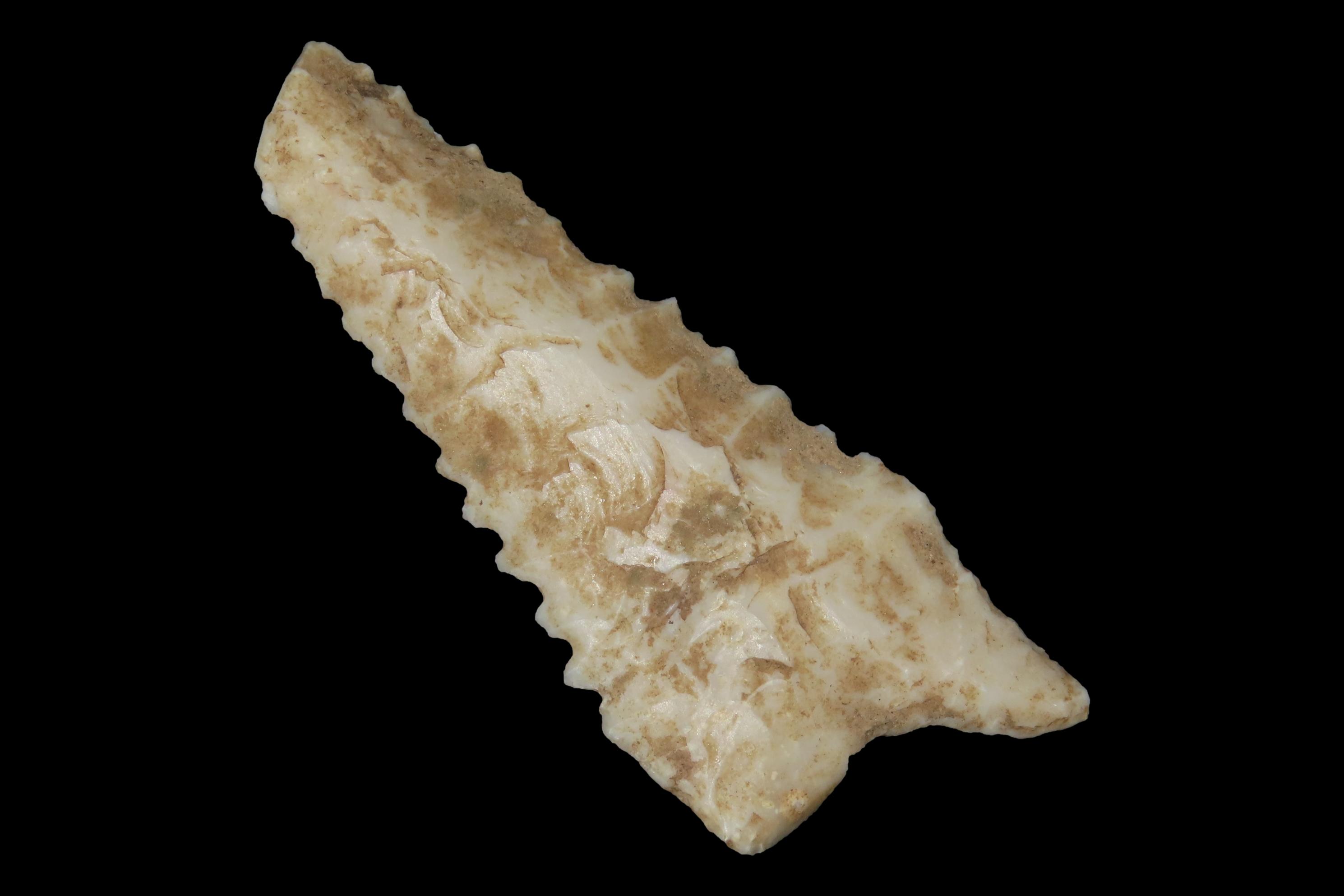 2 3/4" Heartbreaker Serrated Dalton found in Northern Arkansas. Ex Joey Ellis Collection.