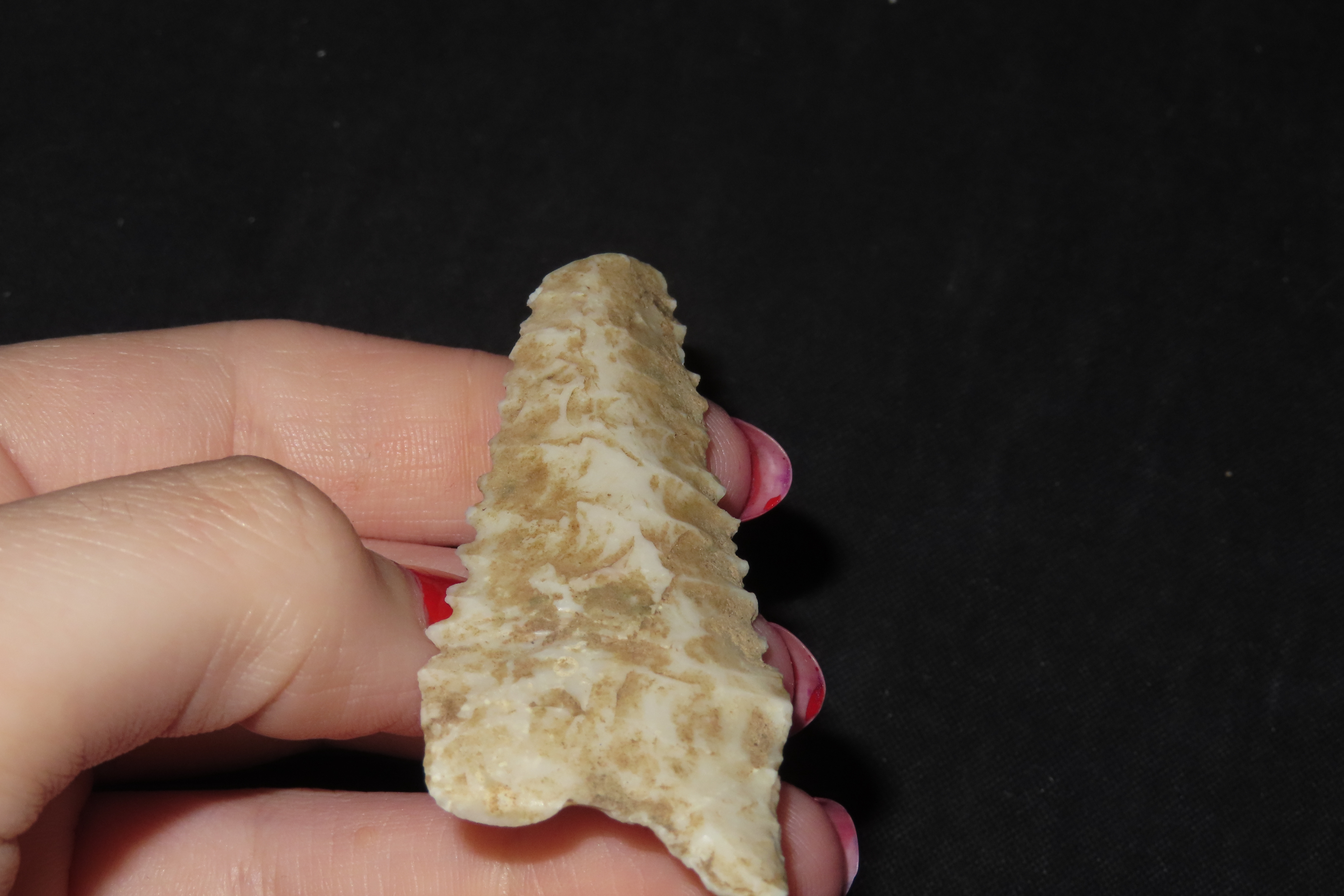 2 3/4" Heartbreaker Serrated Dalton found in Northern Arkansas. Ex Joey Ellis Collection.