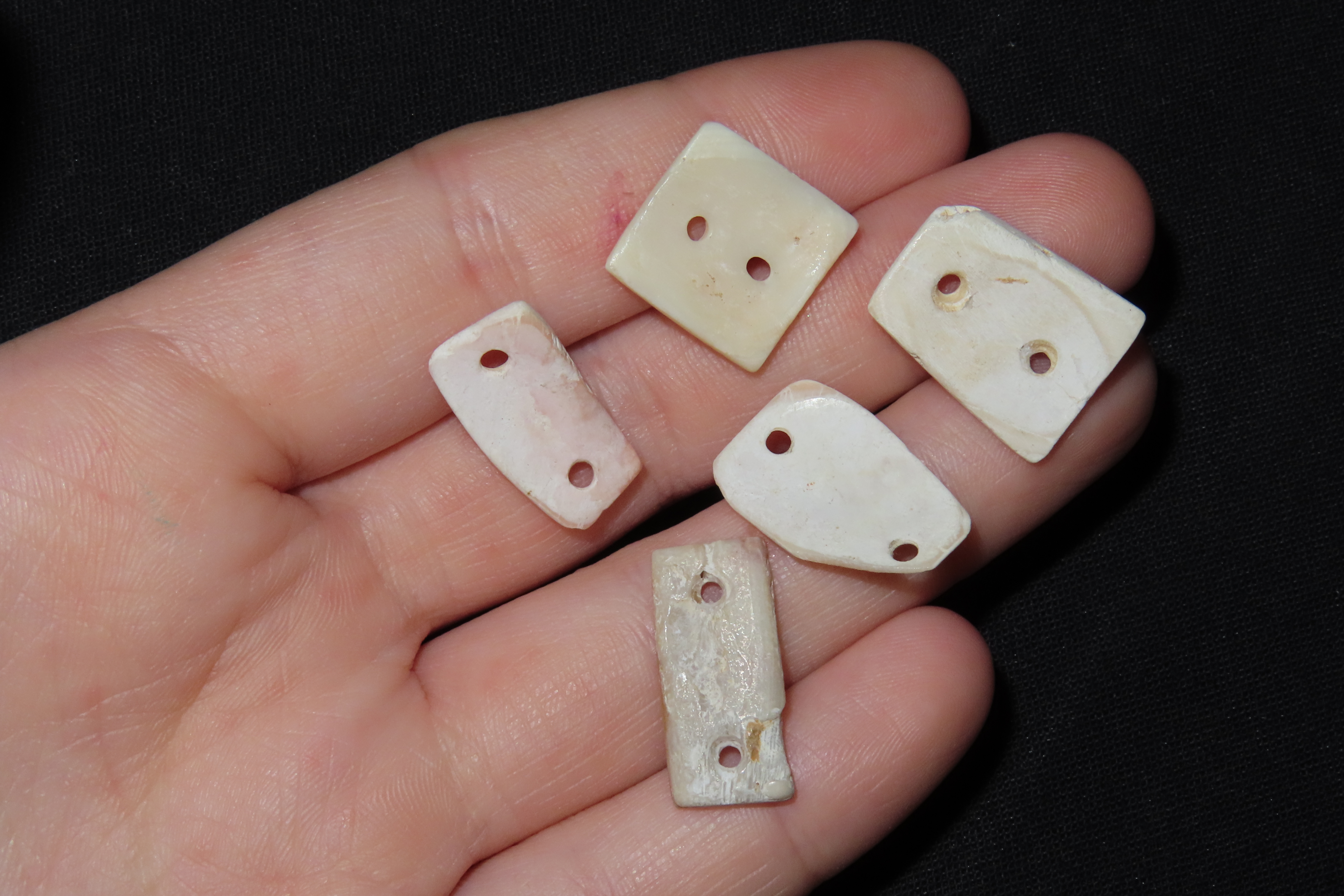 Lot of 5 Pre-Columbian Drilled Shell Gorgets / Pendants / Beads found in Mexico.
