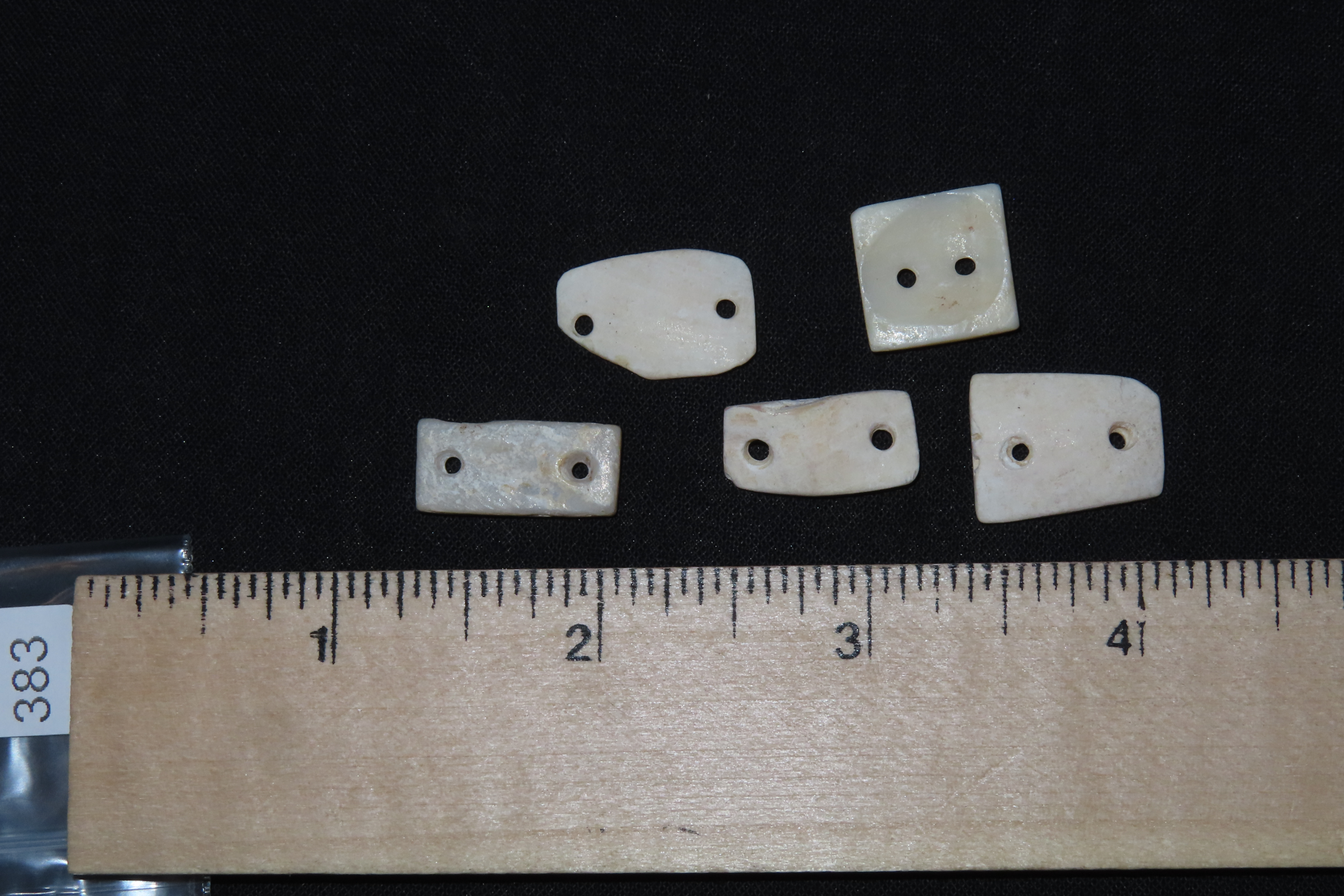 Lot of 5 Pre-Columbian Drilled Shell Gorgets / Pendants / Beads found in Mexico.