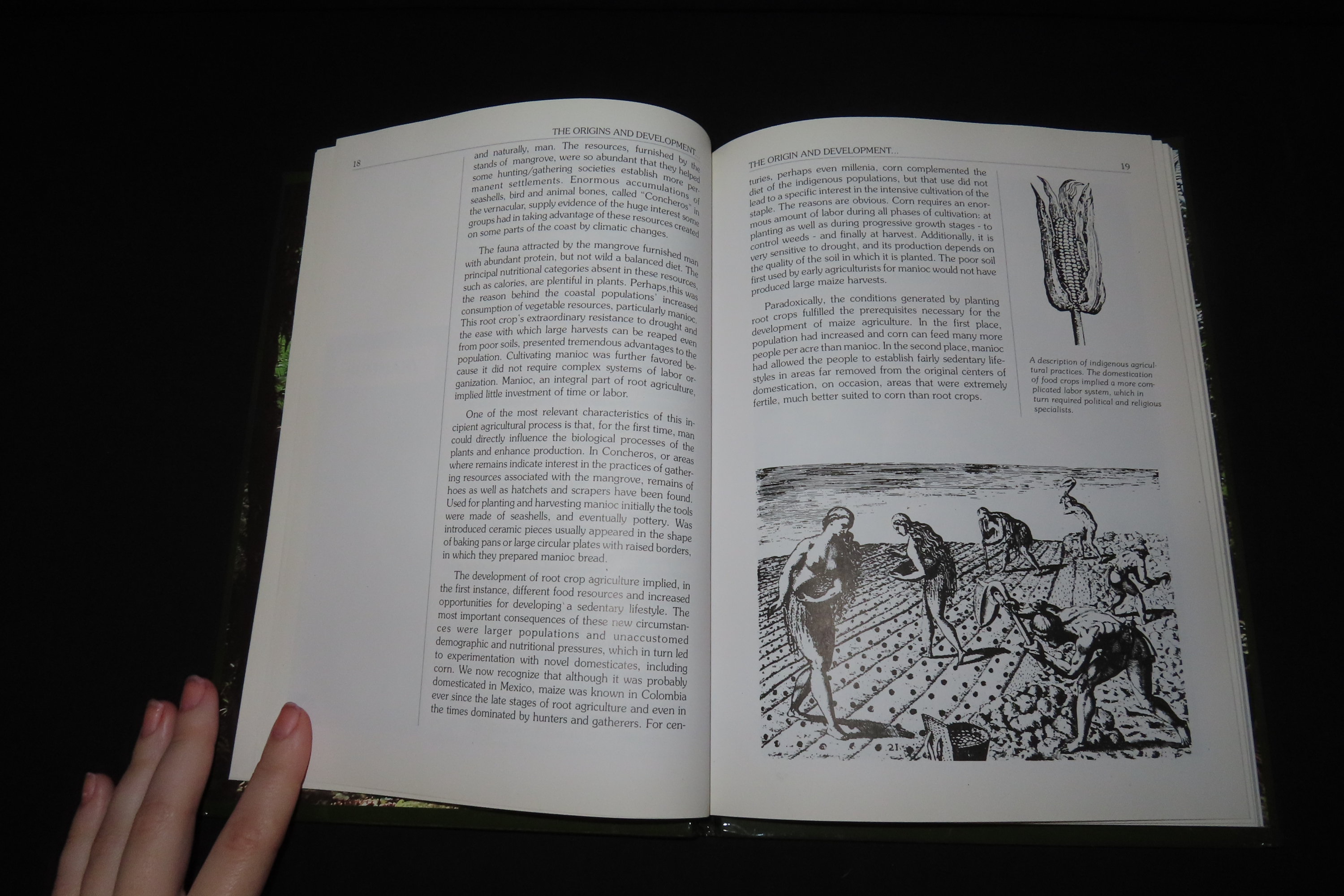 GOLD & PRECOLUMBIAN CULTURES, HARDBACK, 71 PAGES FULL OF PICS AND INFO ON THE GOLDEN RELICS & THE INDIANS THAT MADE THEM