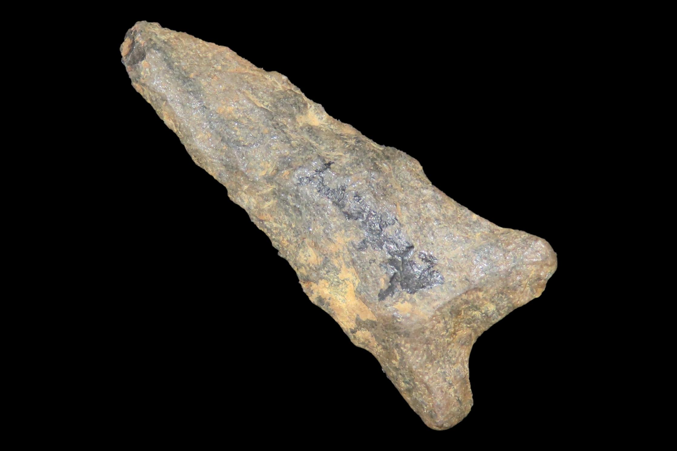 1 7/8" Late Paleo Dalton found in Erie County Pennsylvania. Indian Arrowhead, Artifact.