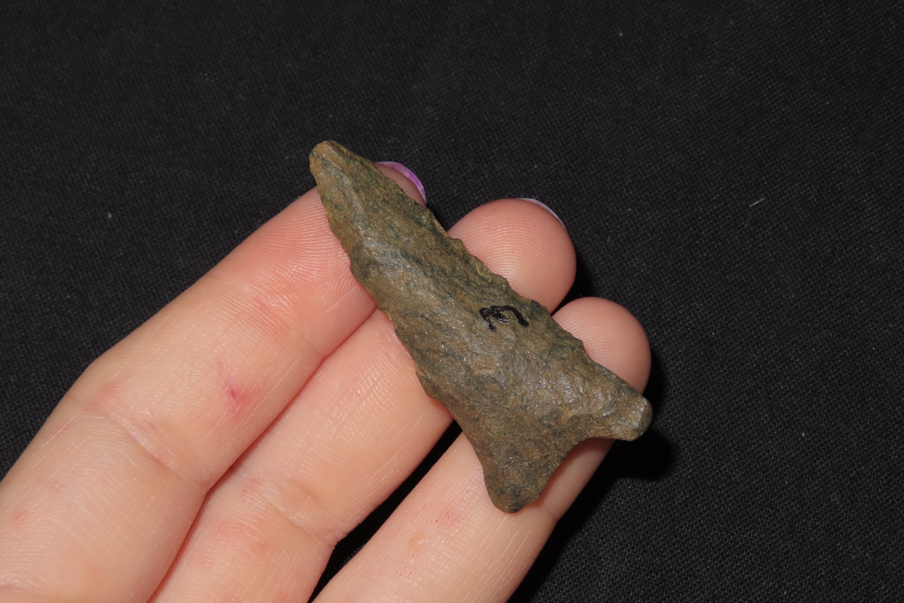 1 7/8" Late Paleo Dalton found in Erie County Pennsylvania. Indian Arrowhead, Artifact.
