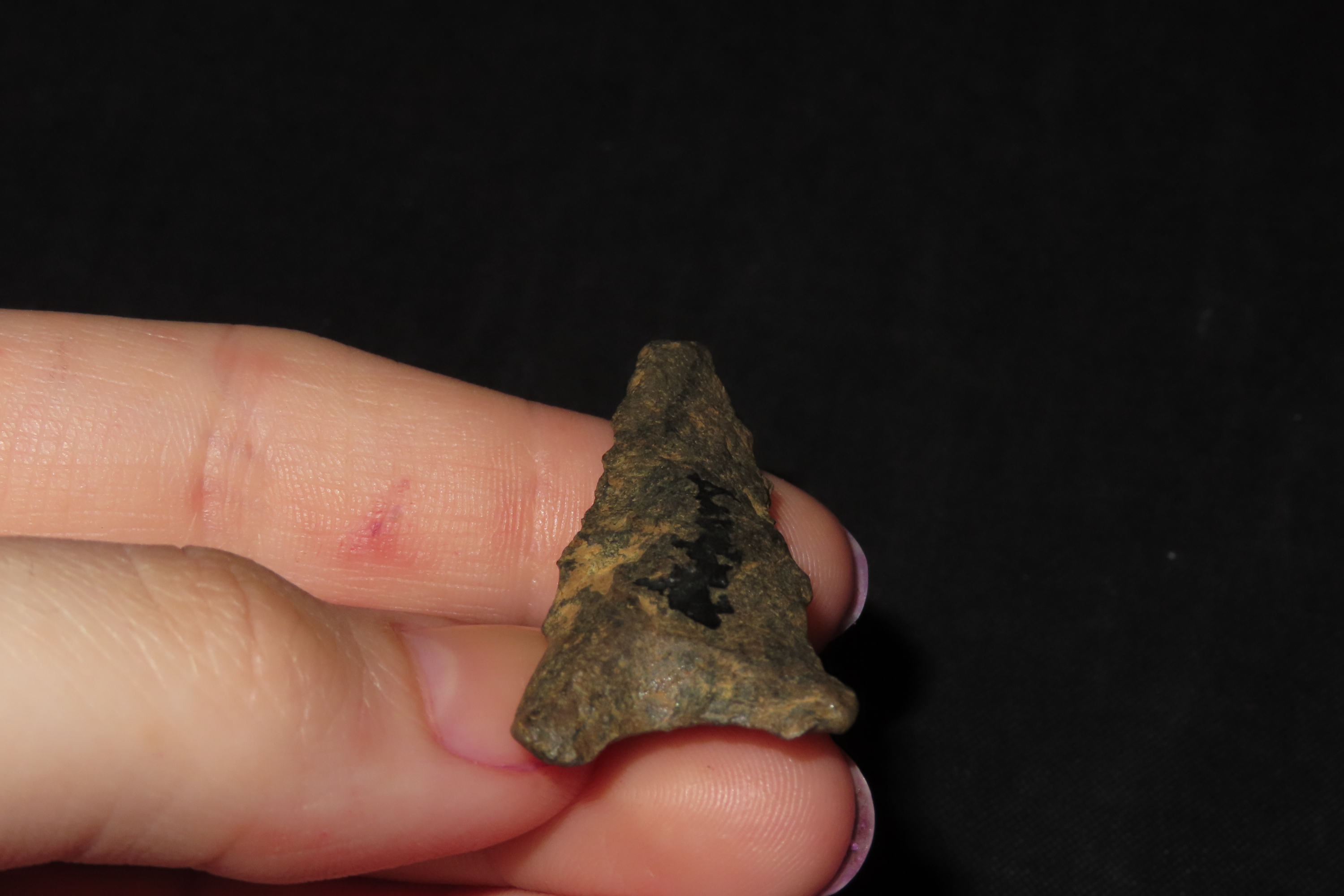 1 7/8" Late Paleo Dalton found in Erie County Pennsylvania. Indian Arrowhead, Artifact.