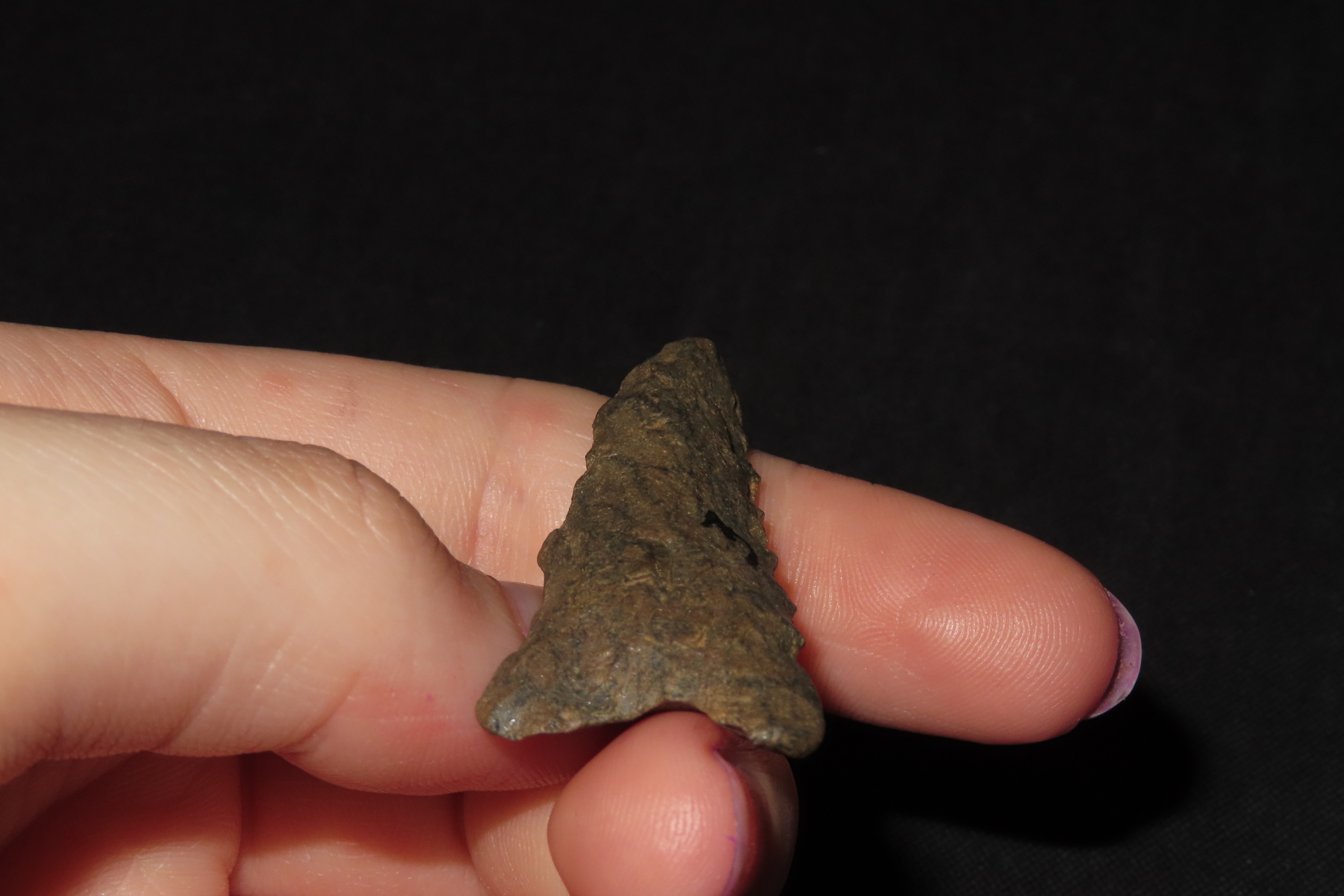 1 7/8" Late Paleo Dalton found in Erie County Pennsylvania. Indian Arrowhead, Artifact.
