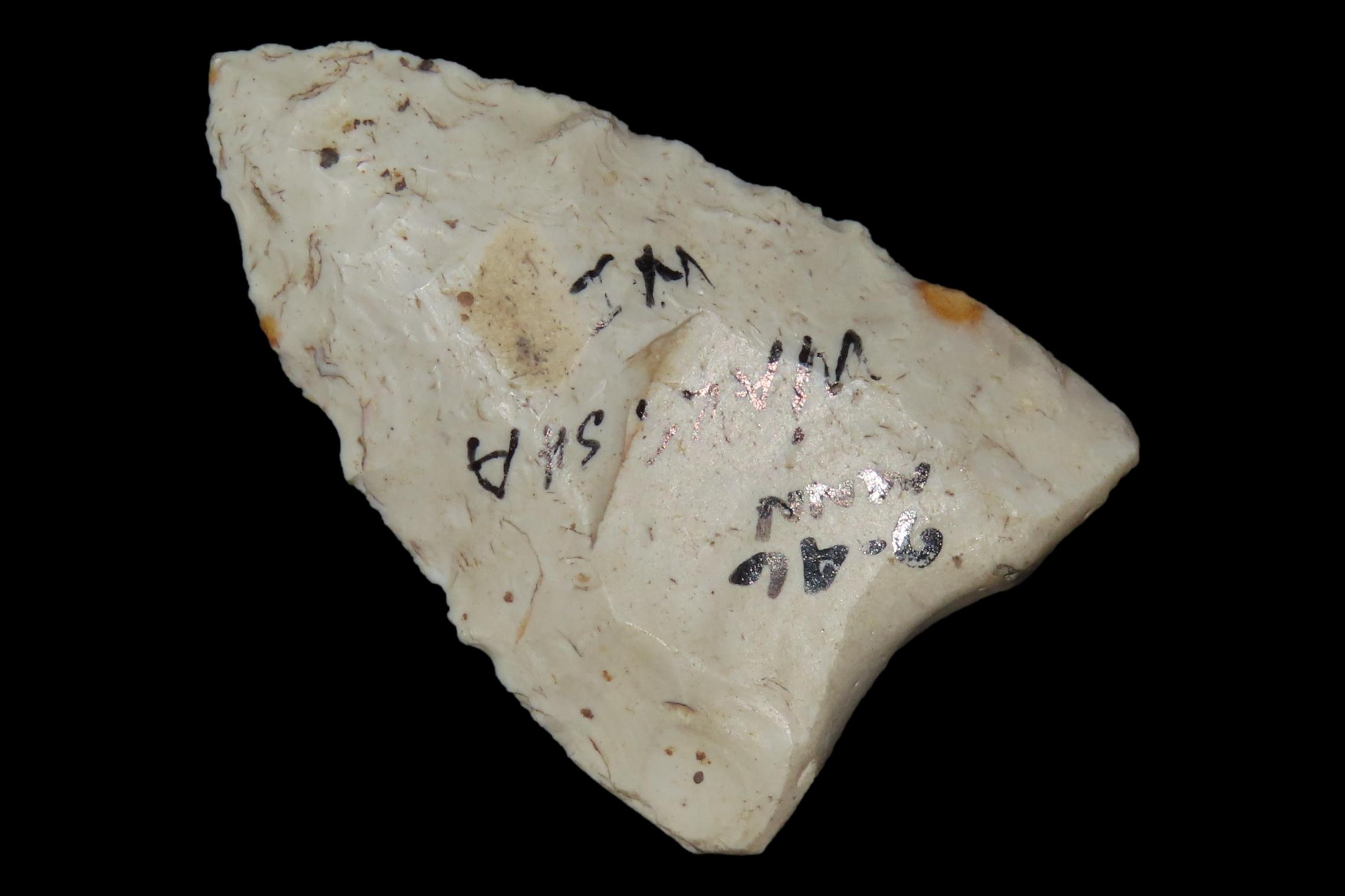 Fluted paleo Clovis found in Waukesha Co. Wisconsin. Base Salvaged after Break. Well Fluted on Both sides.