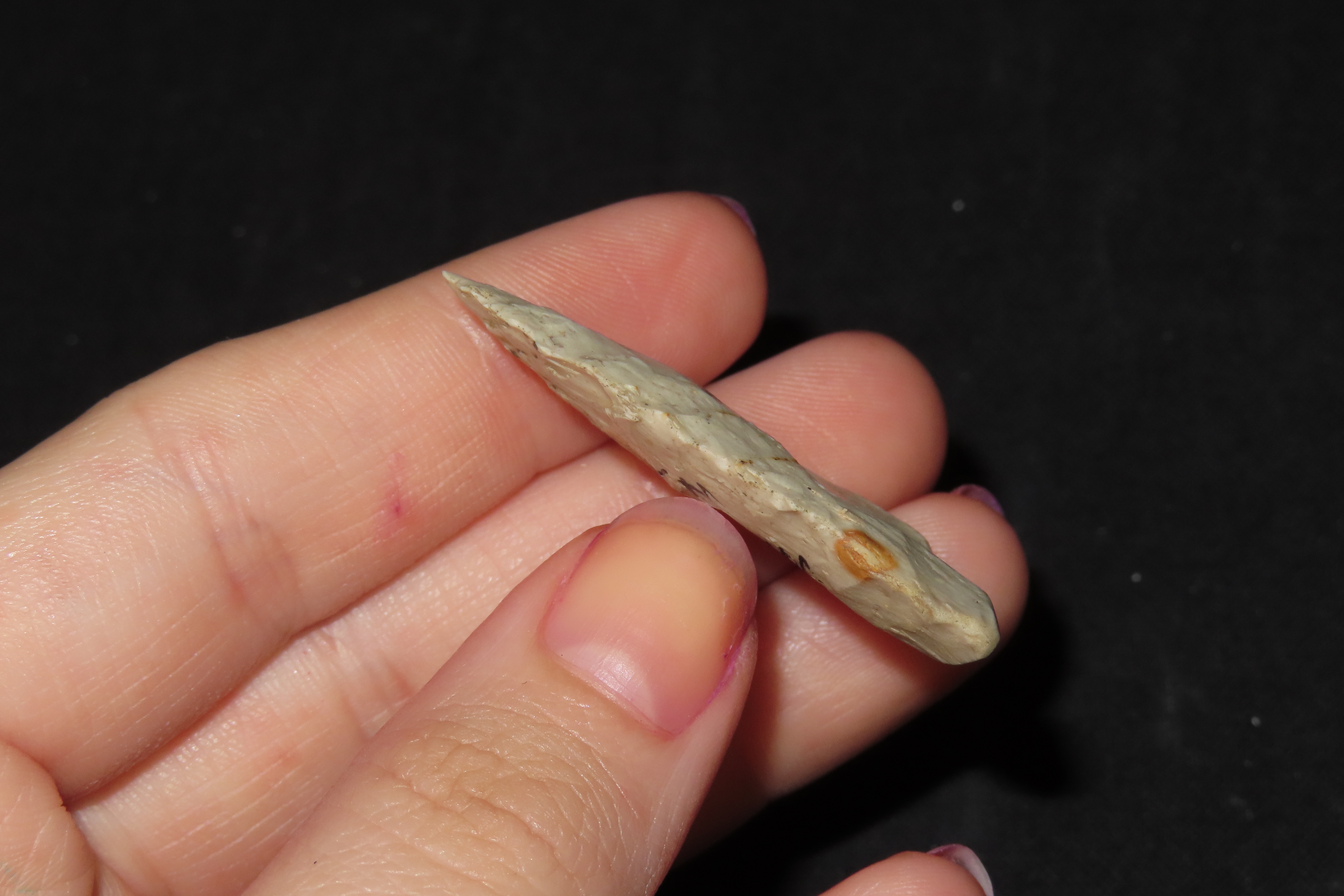 Fluted paleo Clovis found in Waukesha Co. Wisconsin. Base Salvaged after Break. Well Fluted on Both sides.