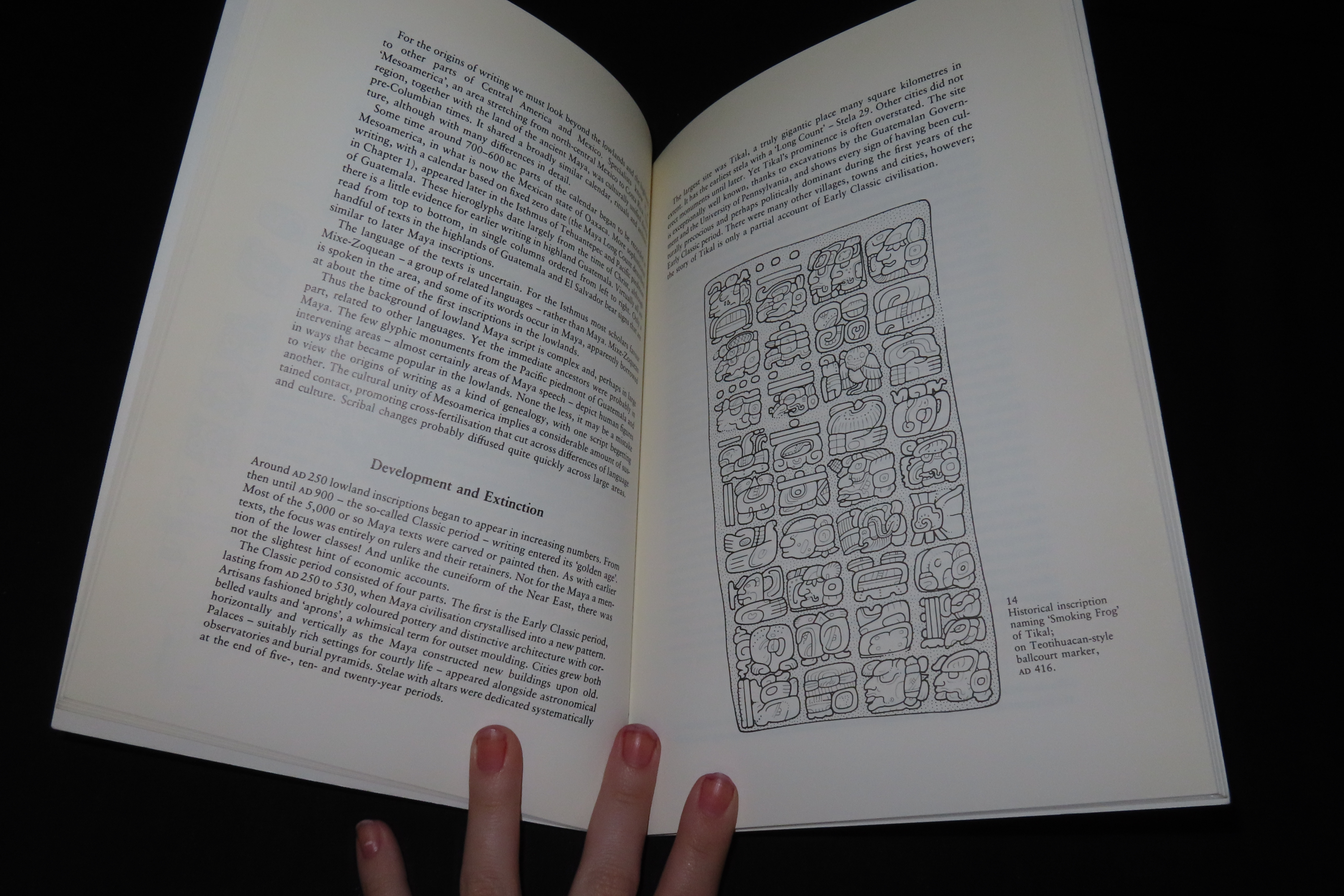 READING THE PAST, MAYA GLYPHS, 64 PAGES TEACHING THE DEFINITIONS OF THE MAYAN ALPHABET, LETTERS, IMAGES, PICTURES, ETC