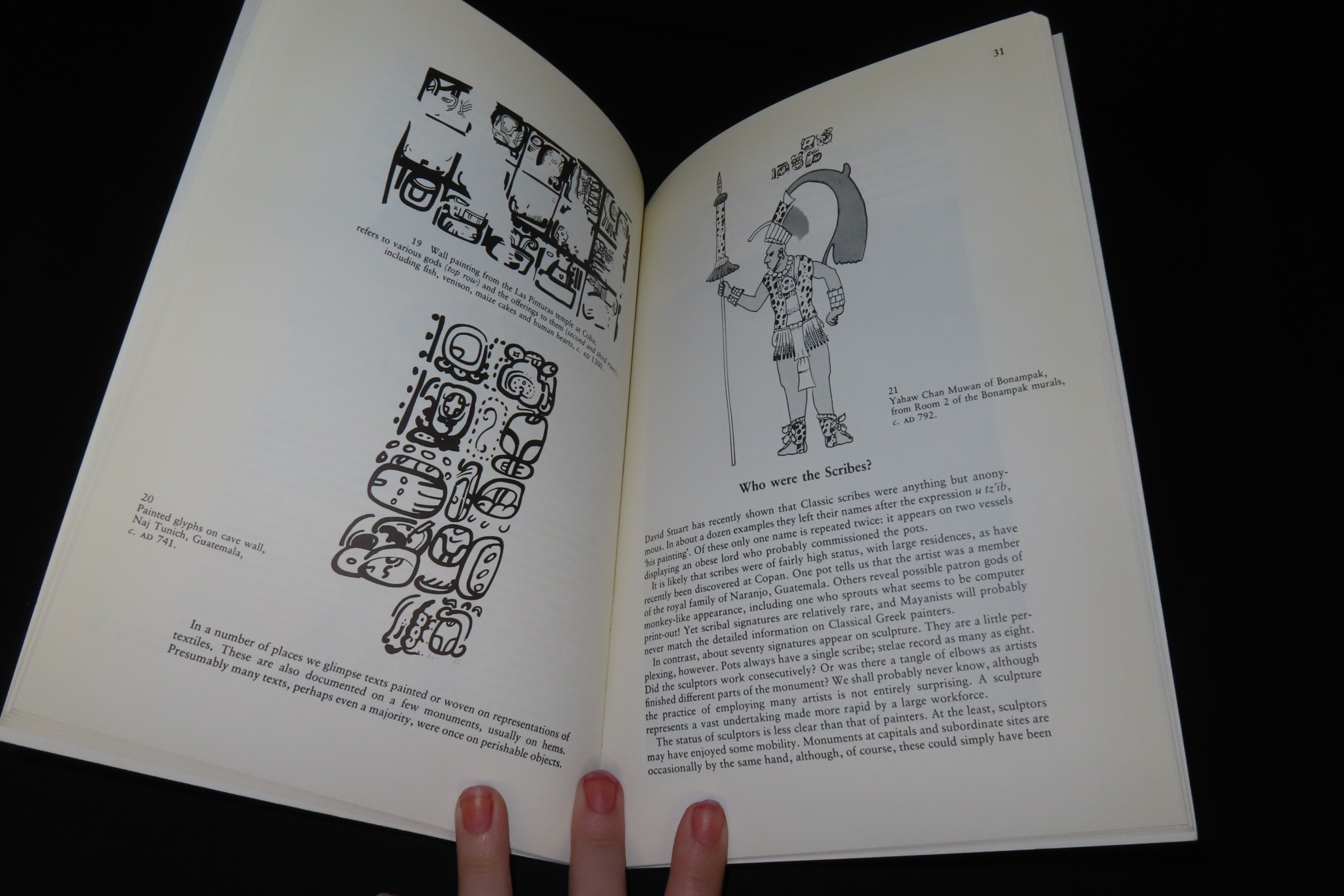 READING THE PAST, MAYA GLYPHS, 64 PAGES TEACHING THE DEFINITIONS OF THE MAYAN ALPHABET, LETTERS, IMAGES, PICTURES, ETC