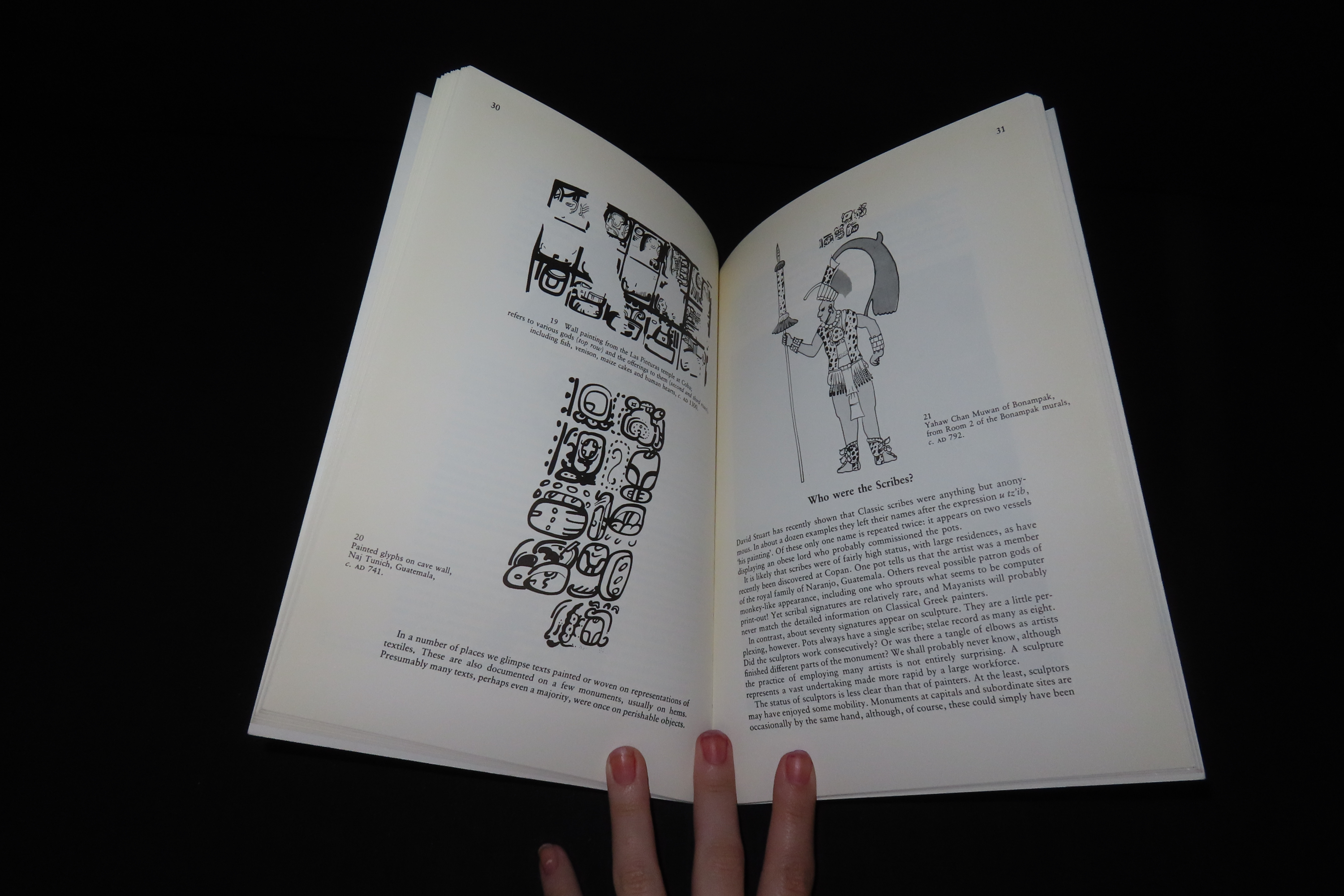 READING THE PAST, MAYA GLYPHS, 64 PAGES TEACHING THE DEFINITIONS OF THE MAYAN ALPHABET, LETTERS, IMAGES, PICTURES, ETC