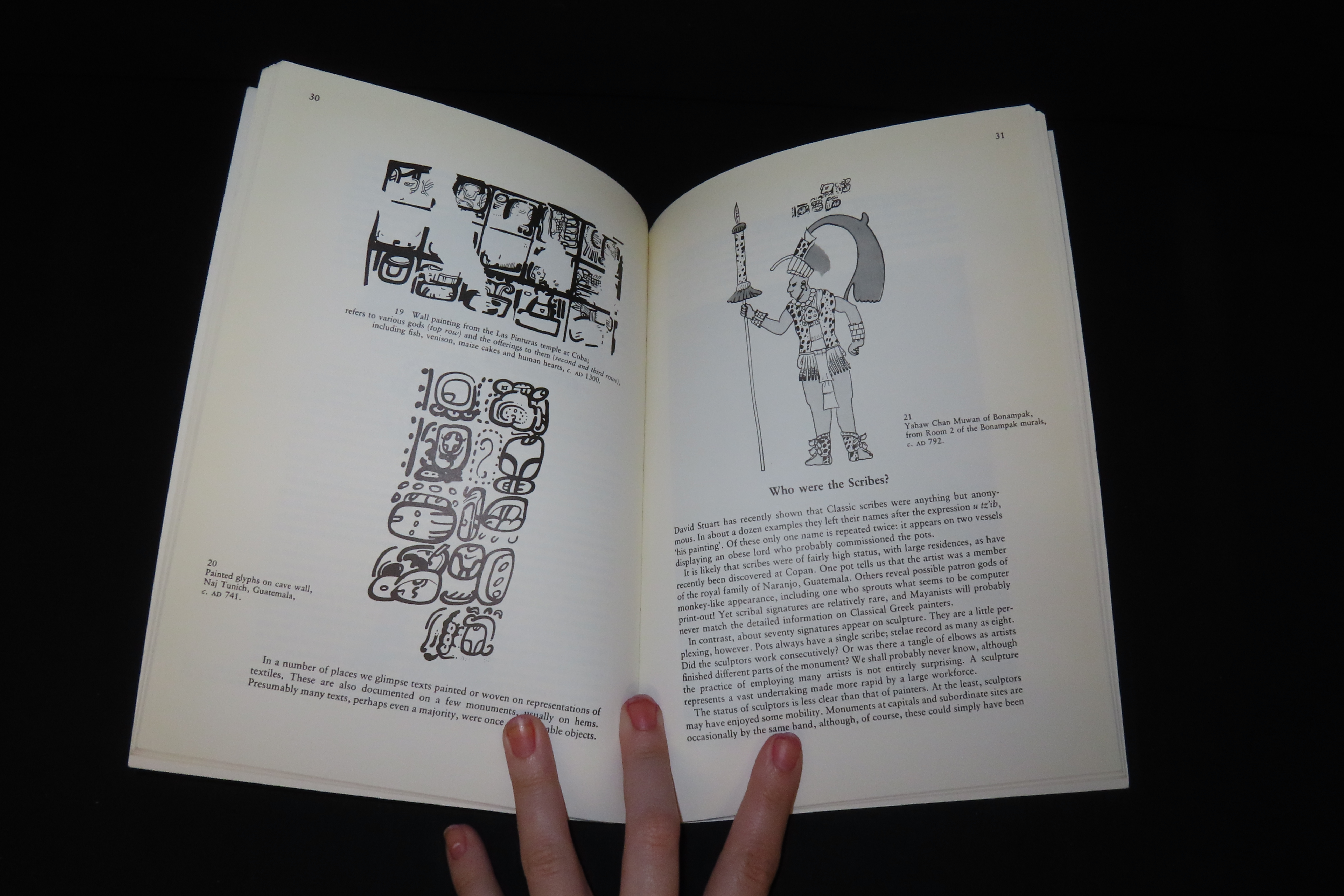 READING THE PAST, MAYA GLYPHS, 64 PAGES TEACHING THE DEFINITIONS OF THE MAYAN ALPHABET, LETTERS, IMAGES, PICTURES, ETC