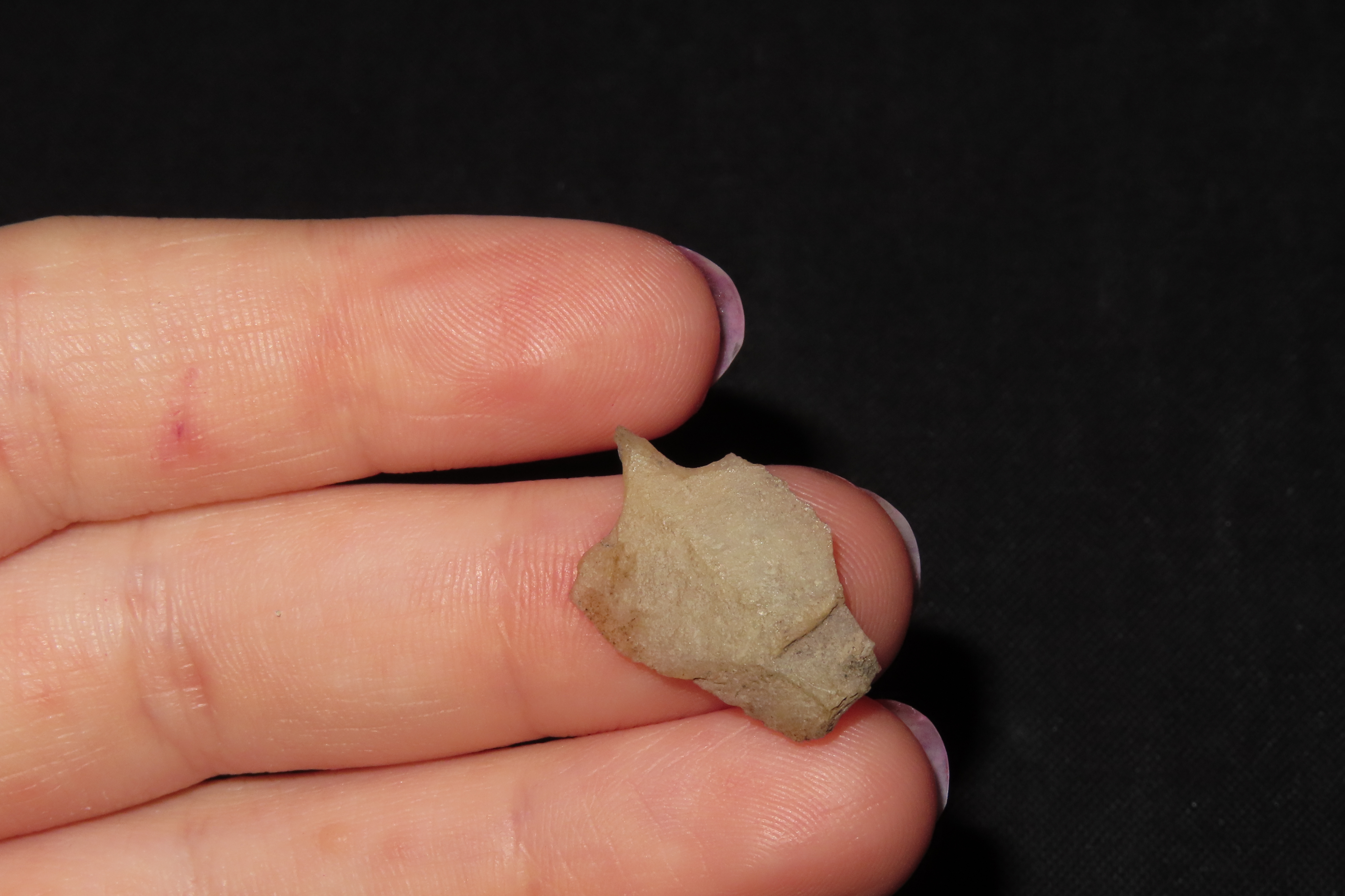 Translucent Micro Drill / Folsom Knife / Perforator found in Colorado. Indian Arrowhead, Artifact, Tool.