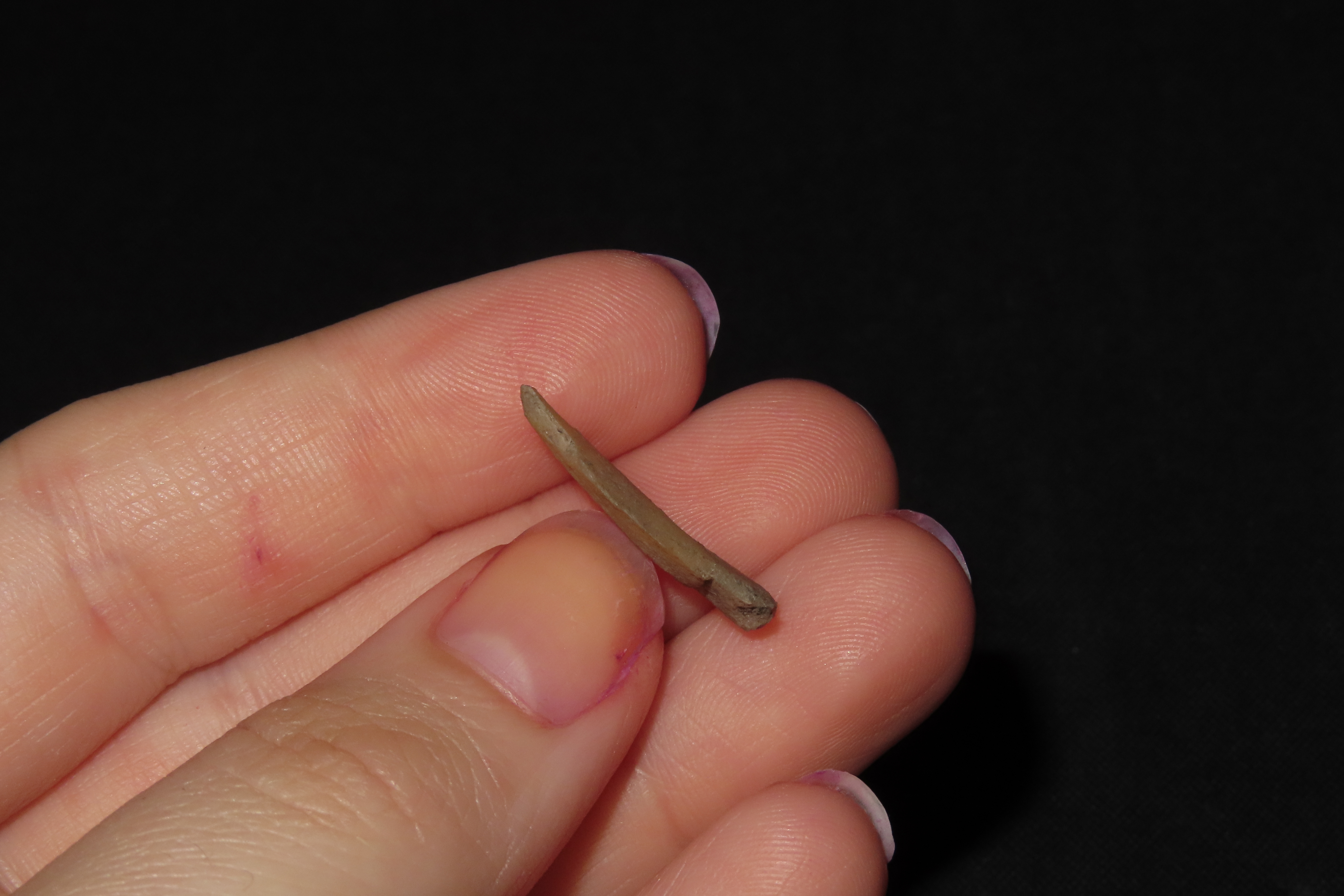 Translucent Micro Drill / Folsom Knife / Perforator found in Colorado. Indian Arrowhead, Artifact, Tool.
