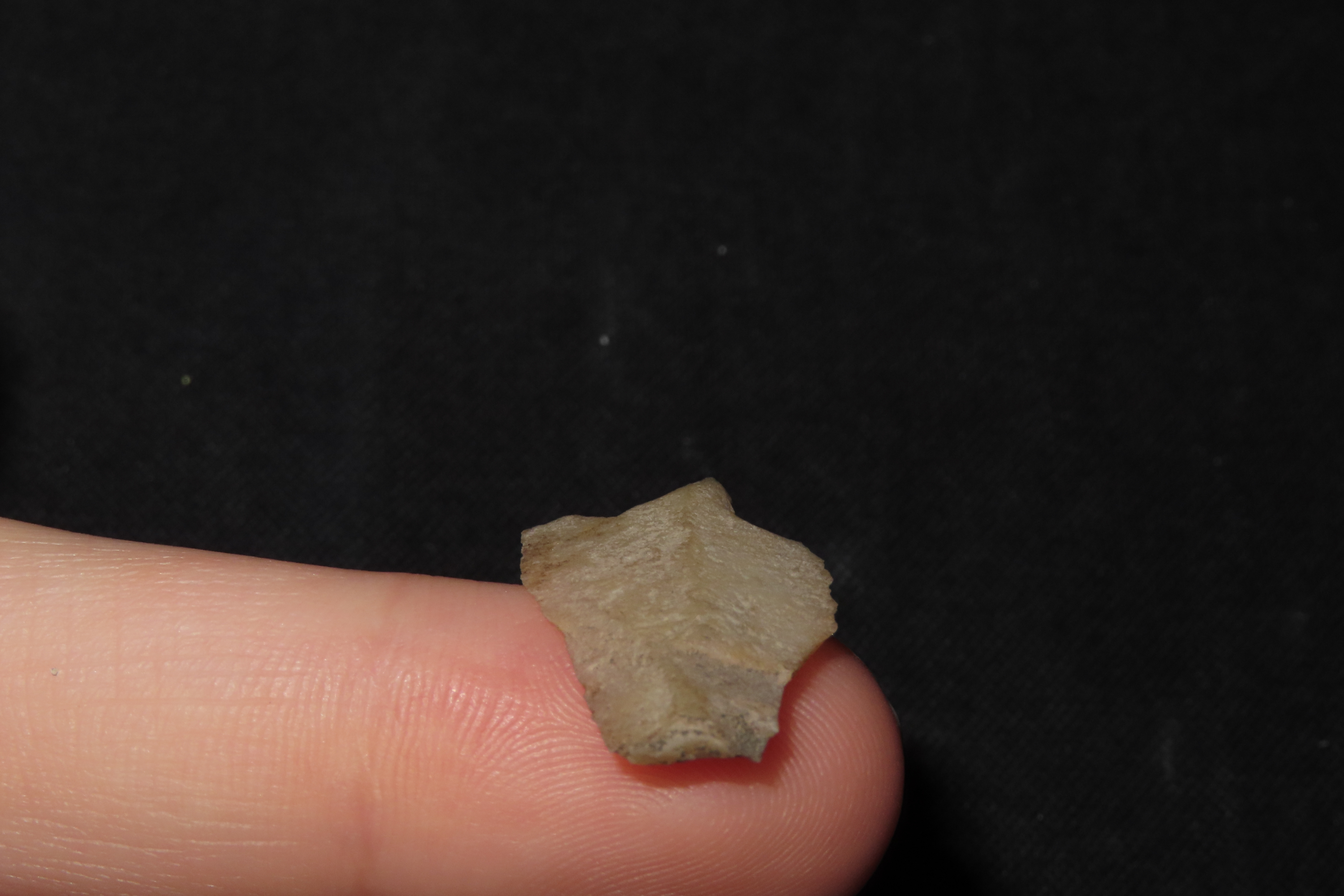 Translucent Micro Drill / Folsom Knife / Perforator found in Colorado. Indian Arrowhead, Artifact, Tool.