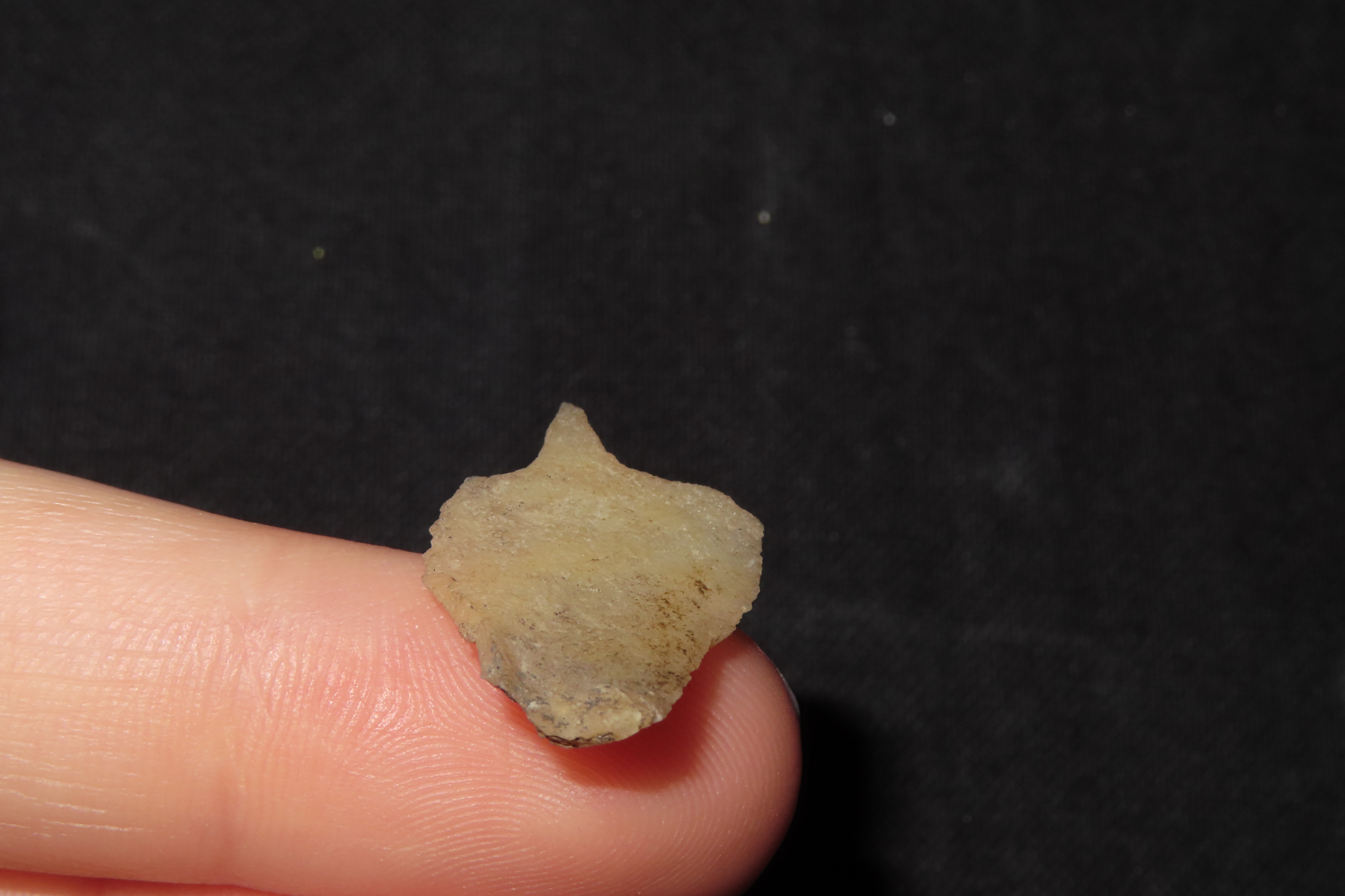 Translucent Micro Drill / Folsom Knife / Perforator found in Colorado. Indian Arrowhead, Artifact, Tool.