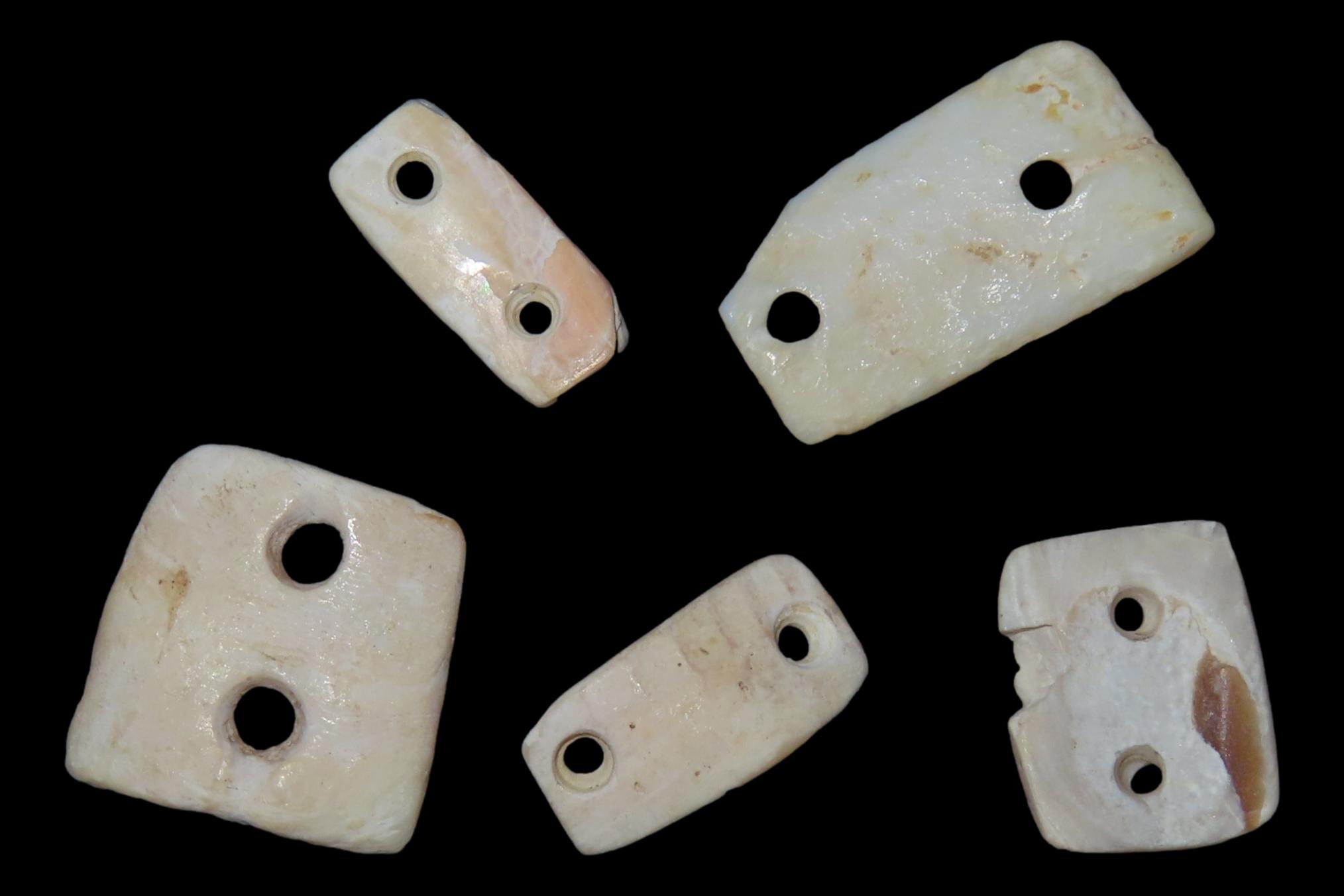 Lot of 5 Pre-Columbian Drilled Shell Gorgets / Pendants / Beads found in Mexico.