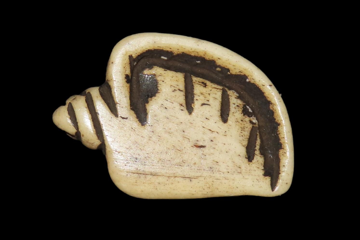 Amazing Pre-Columbian Conch Shell Effigy Bead, Mexico. Carved from Bone, highly polished. Drilled for suspension.