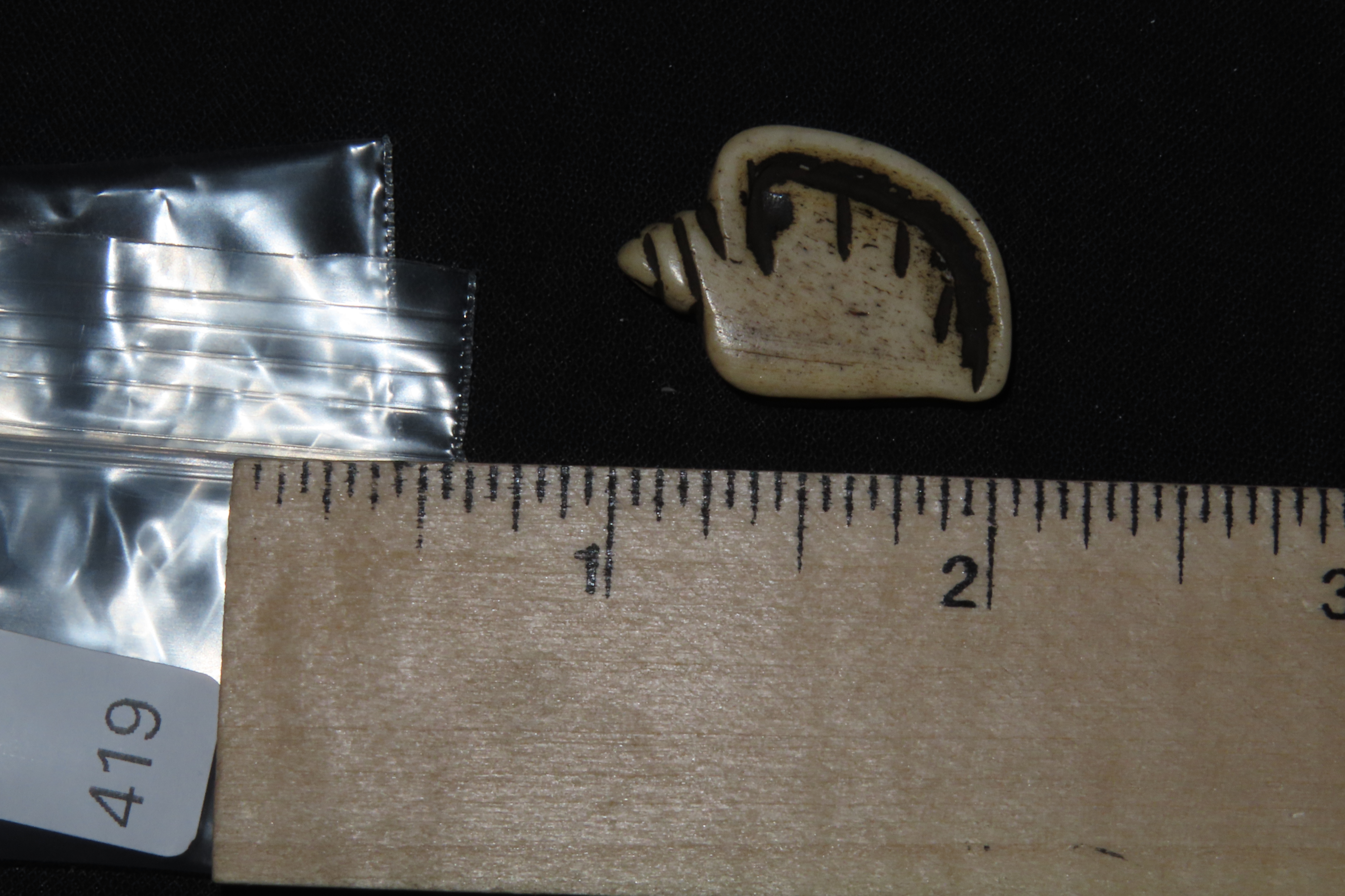 Amazing Pre-Columbian Conch Shell Effigy Bead, Mexico. Carved from Bone, highly polished. Drilled for suspension.