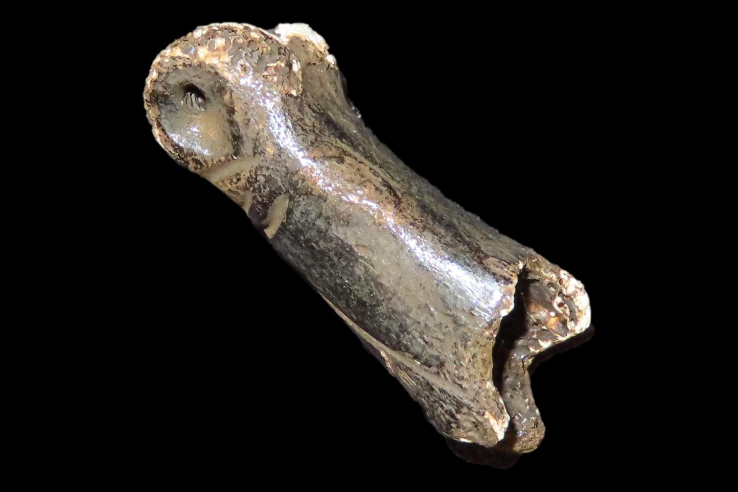 Engraved Pre-Columbian Llama Bone Effigy Pendany, Mexico.