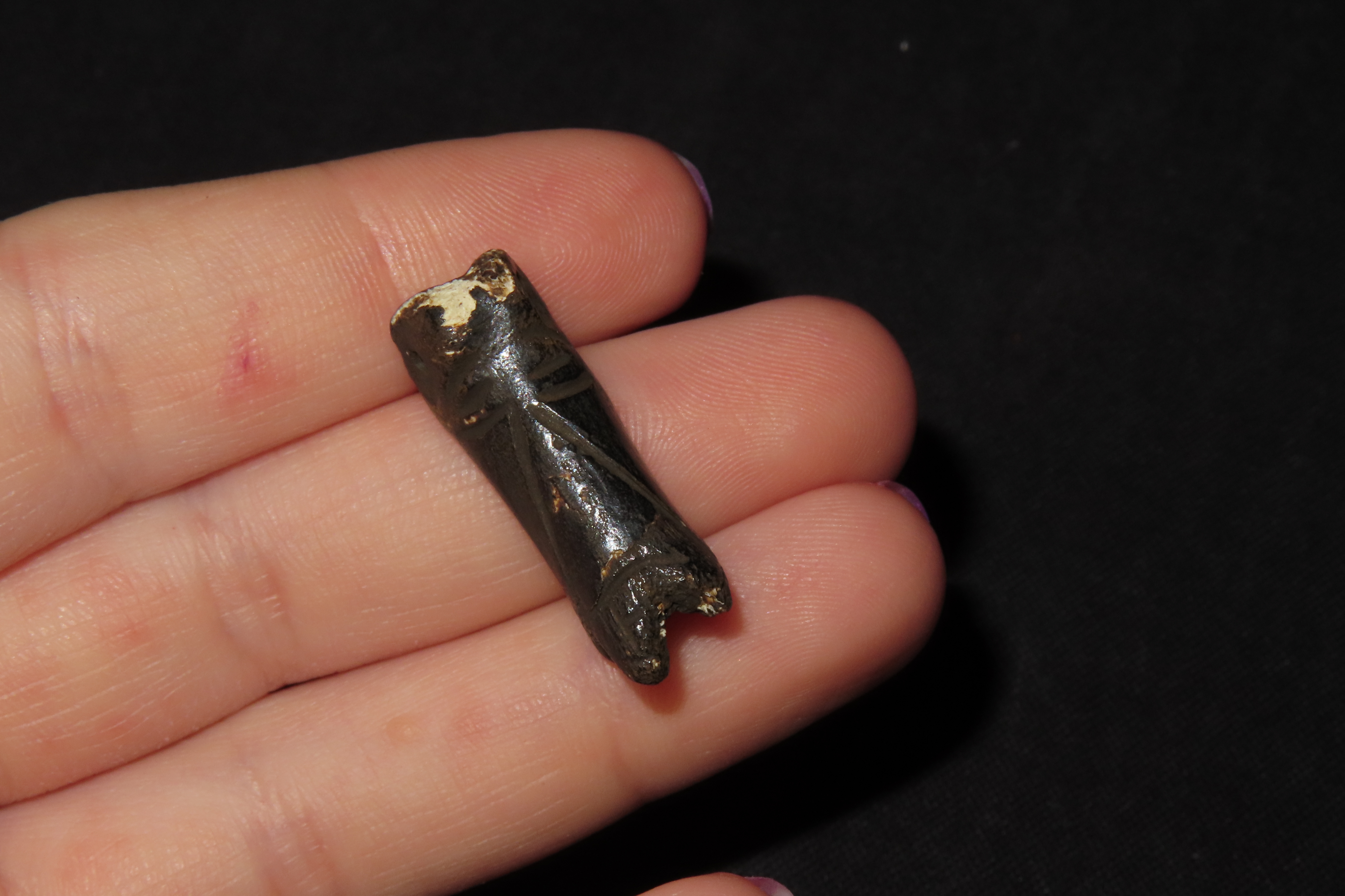Engraved Pre-Columbian Llama Bone Effigy Pendany, Mexico.