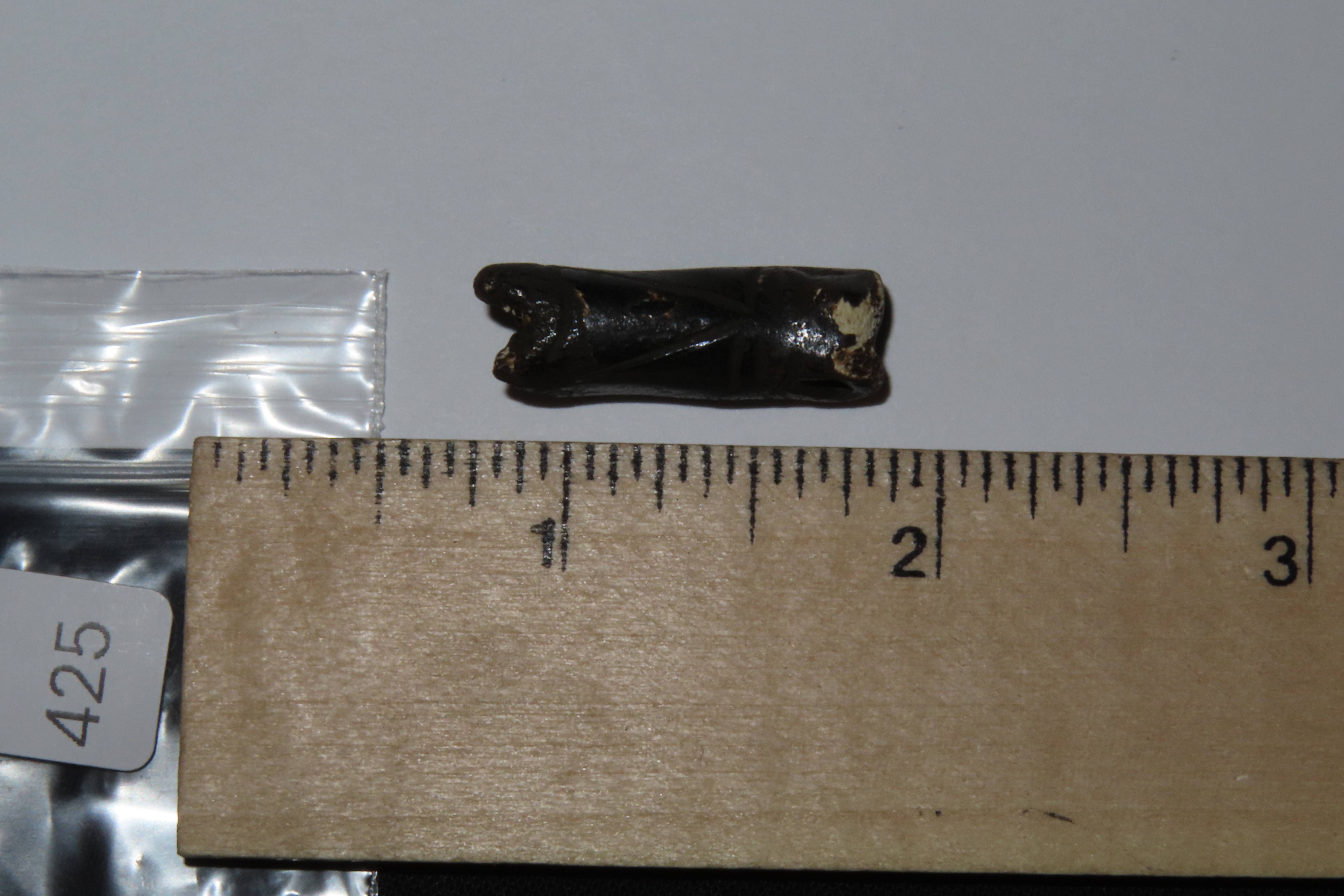 Engraved Pre-Columbian Llama Bone Effigy Pendany, Mexico.