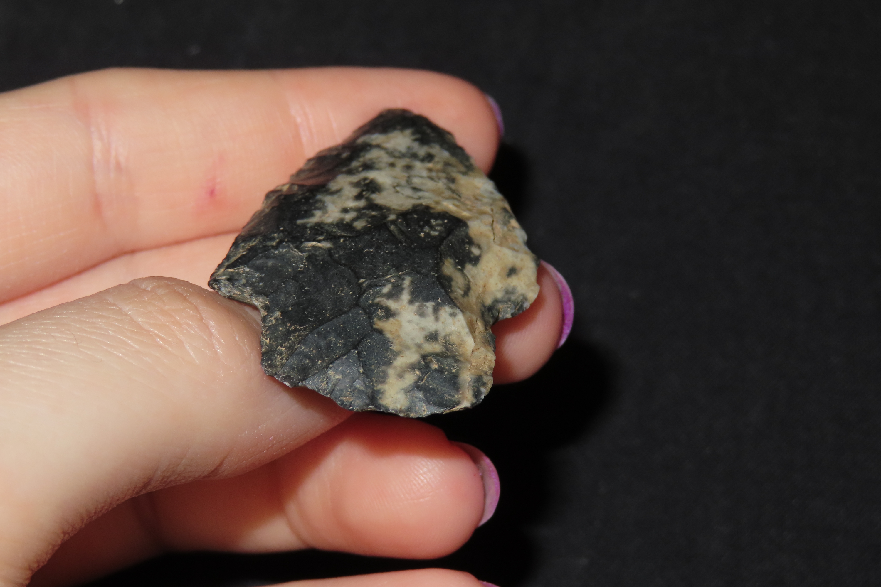 Colorful Lightning Streak Novaculite Gary / Adena found in Northern Arkansas. Great Color!