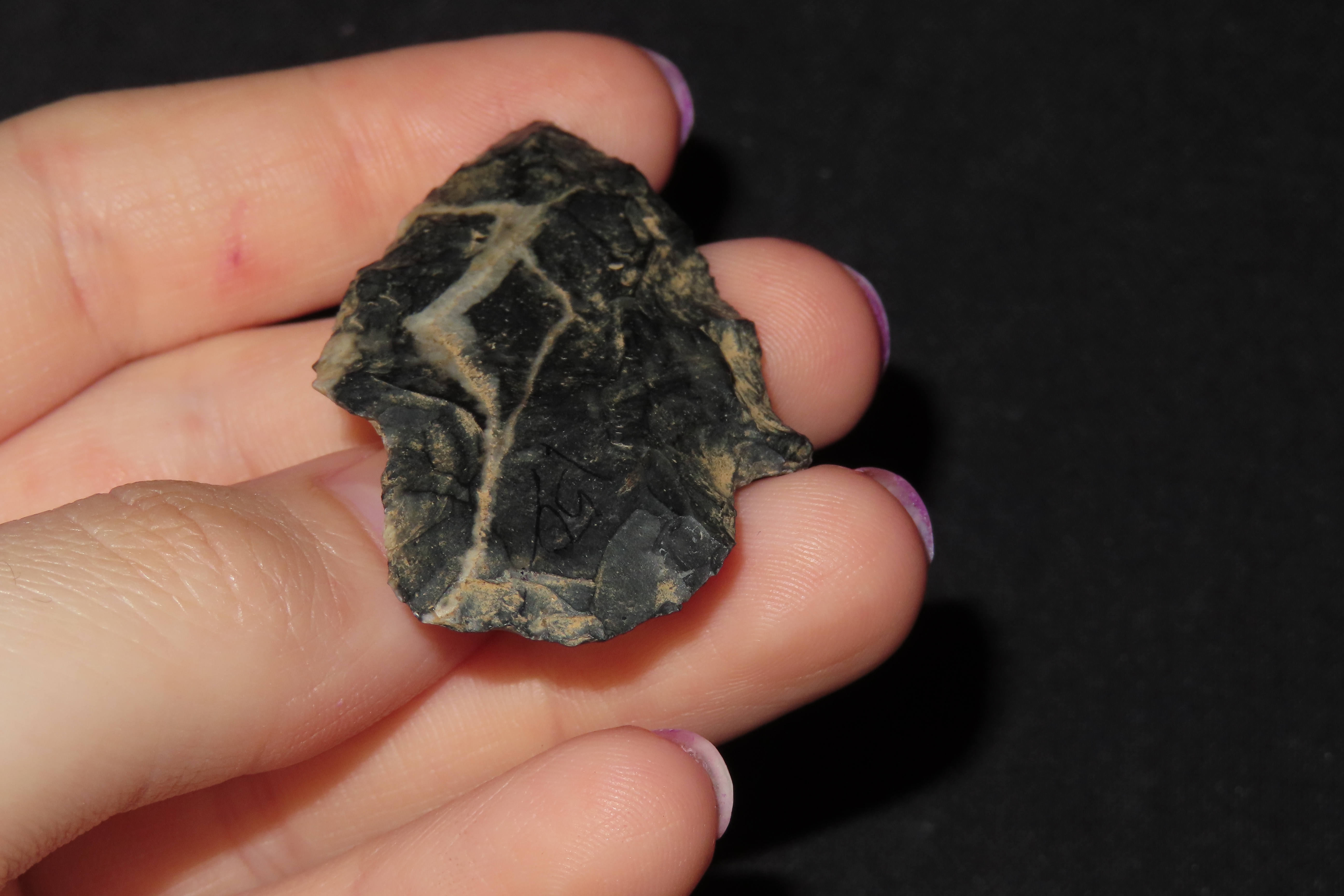Colorful Lightning Streak Novaculite Gary / Adena found in Northern Arkansas. Great Color!