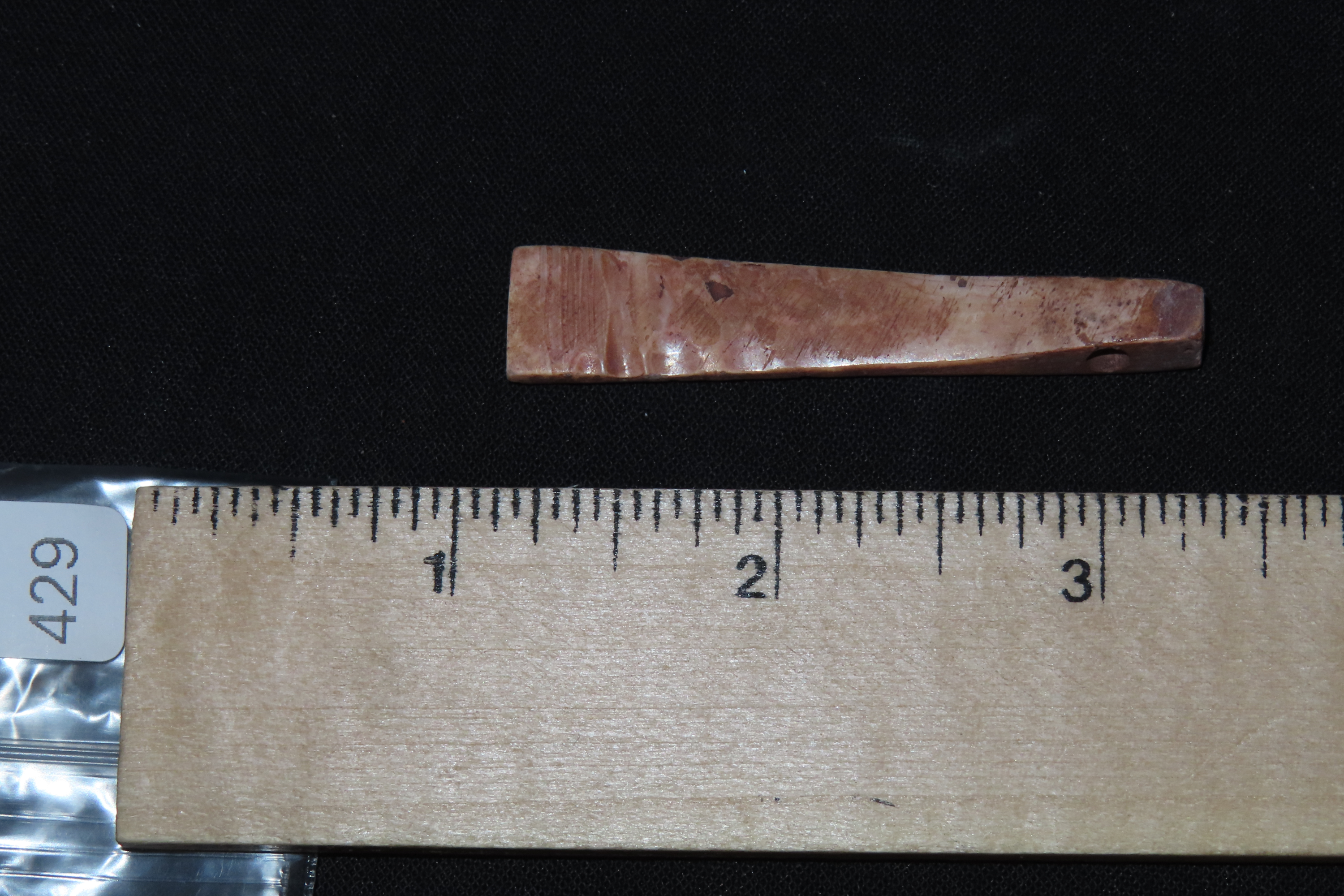 Amazing Pre-Columbian Drilled Shell Pendant. Highly Polished with squared edges. Well Patinated example. Found in Mexico.