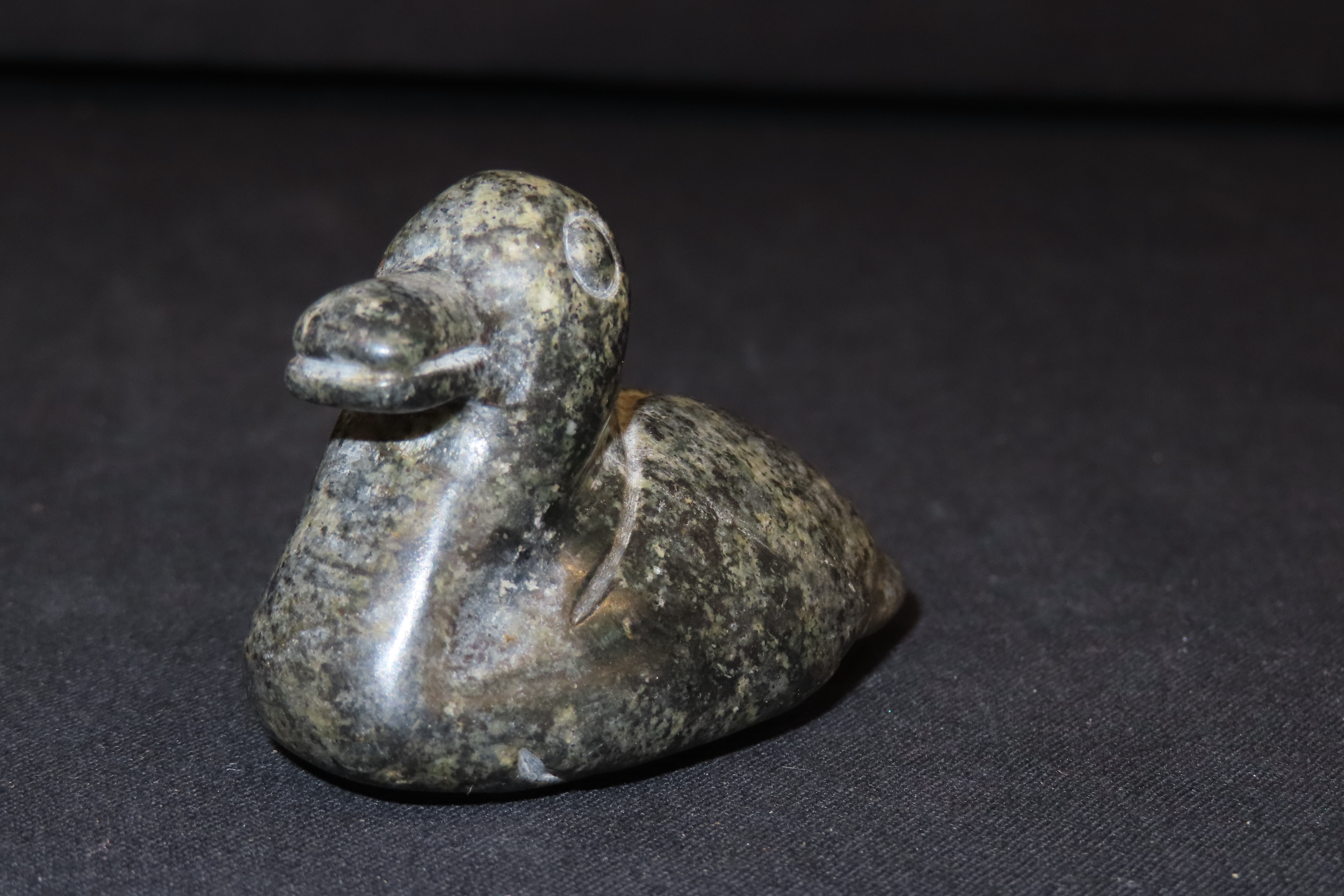 2 3/4" Pre-Columbian Olmec Duck Effigy Pendant, Guatemala. Heavily Polished Dark Green Jadeite or Serpentine.