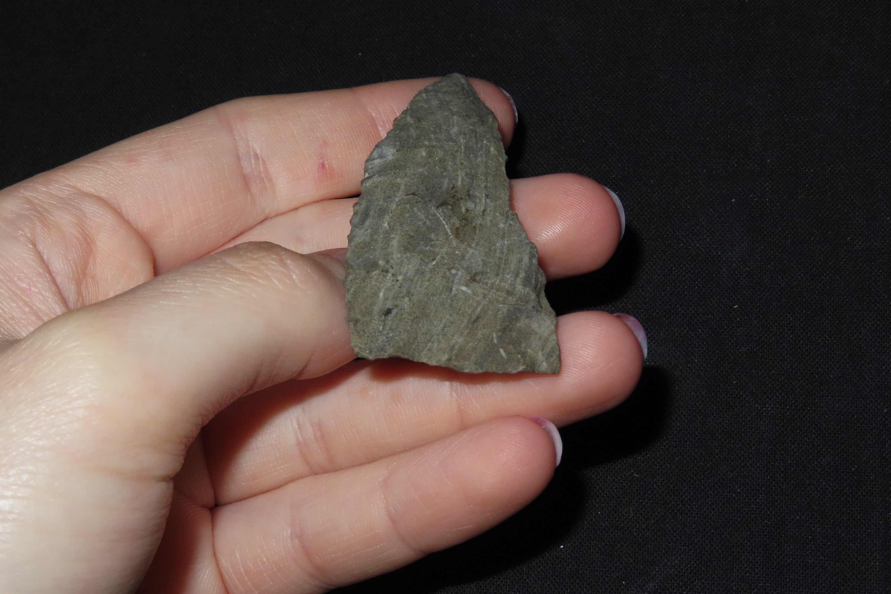 2 1/2" Cobbs Archaic Knife Balde found in Tennessee. Indian Arrowhead, Artifact.