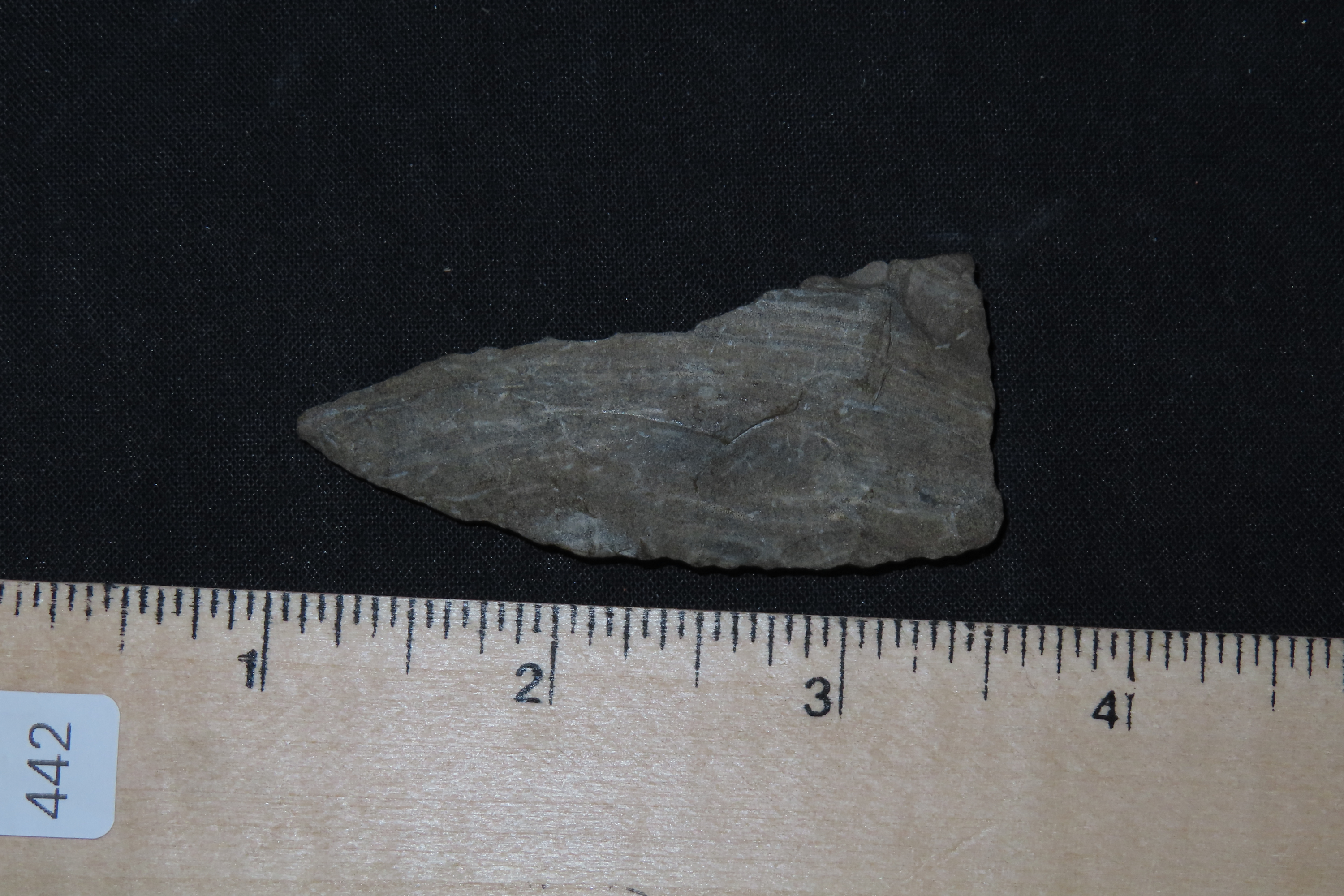 2 1/2" Cobbs Archaic Knife Balde found in Tennessee. Indian Arrowhead, Artifact.