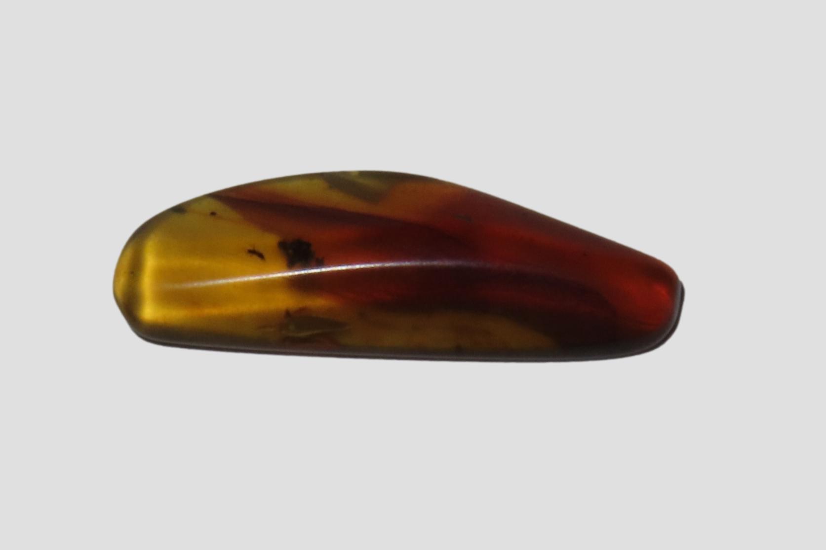 Fossil Amber with Encased Insect, Great Specimen with Easily Visible Bug. 100 Million Years Old, from the Hukawng Valley, Burma-Myanmar. Bur