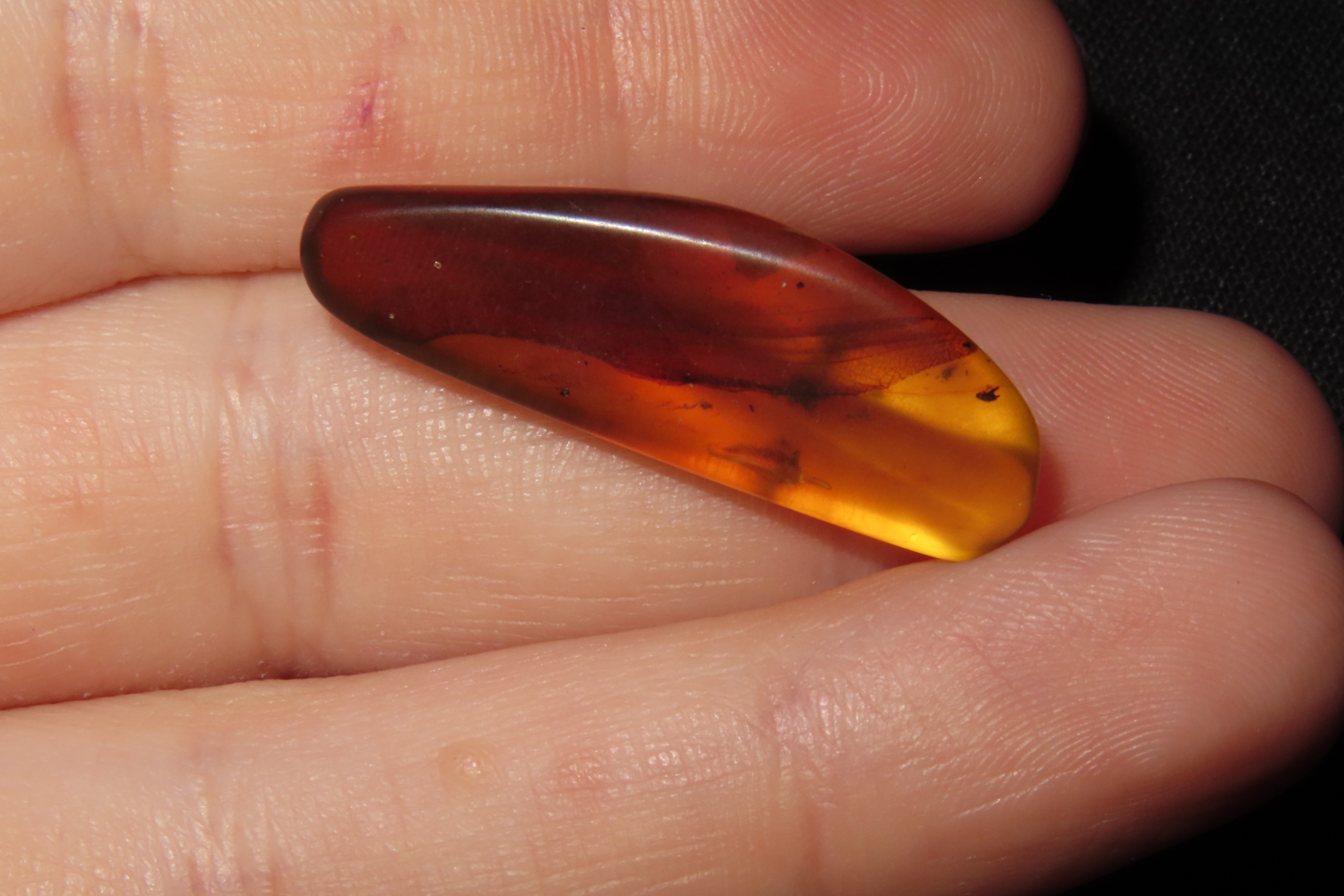 Fossil Amber with Encased Insect, Great Specimen with Easily Visible Bug. 100 Million Years Old, from the Hukawng Valley, Burma-Myanmar. Bur