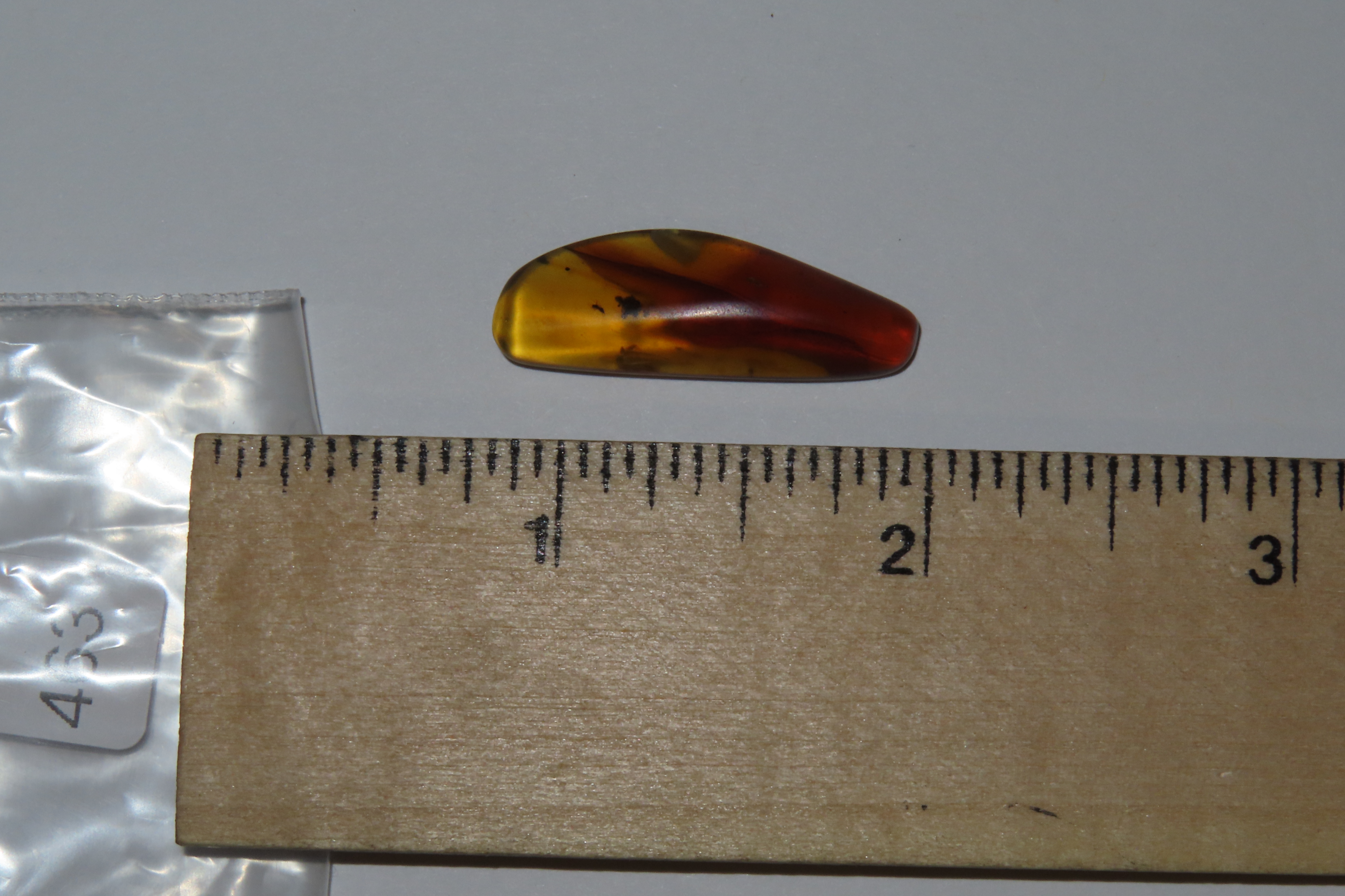 Fossil Amber with Encased Insect, Great Specimen with Easily Visible Bug. 100 Million Years Old, from the Hukawng Valley, Burma-Myanmar. Bur