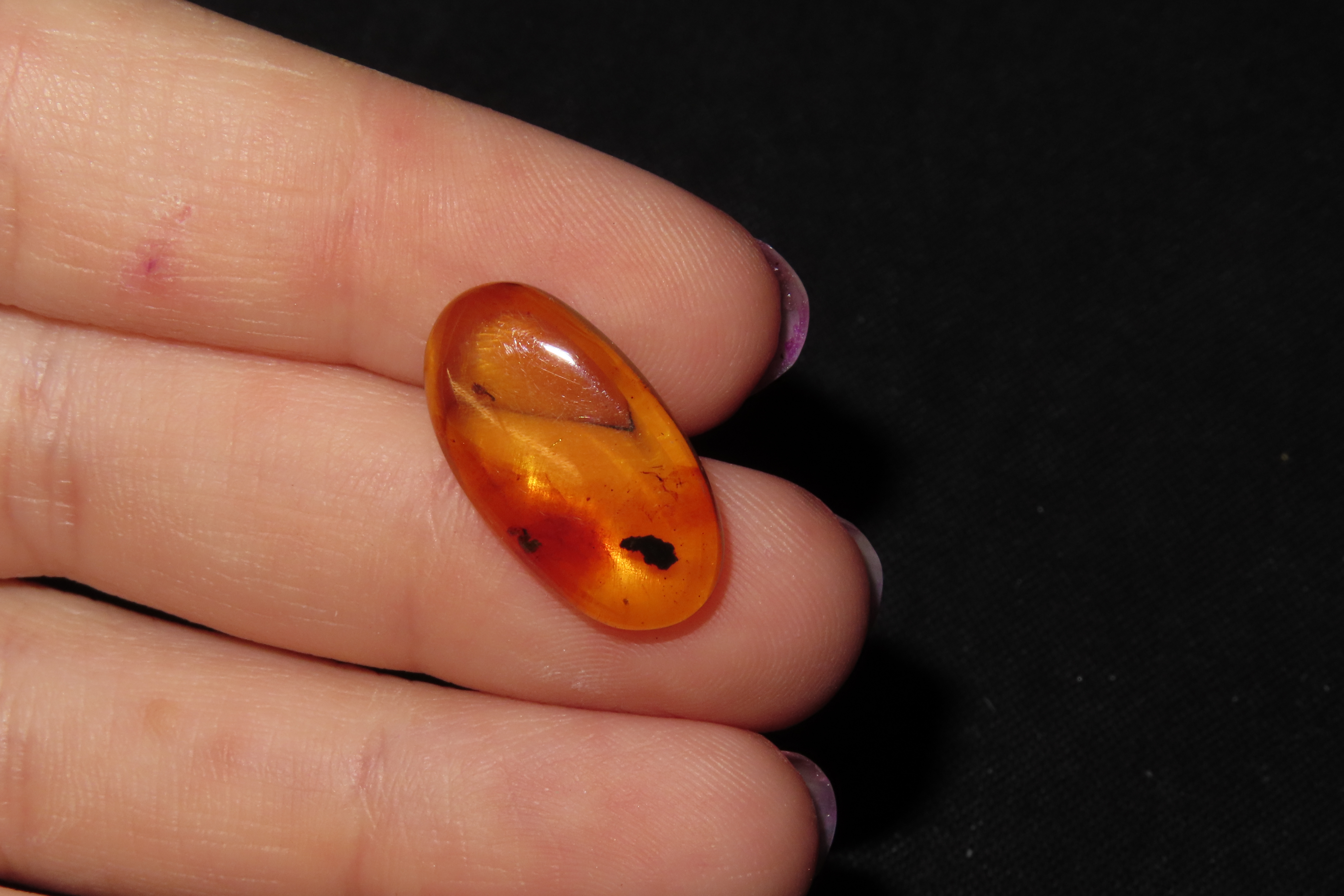 Fossil Amber with Encased Insect, Great Specimen with Easily Visible Bug. 100 Million Years Old, from the Hukawng Valley, Burma-Myanmar. Bur