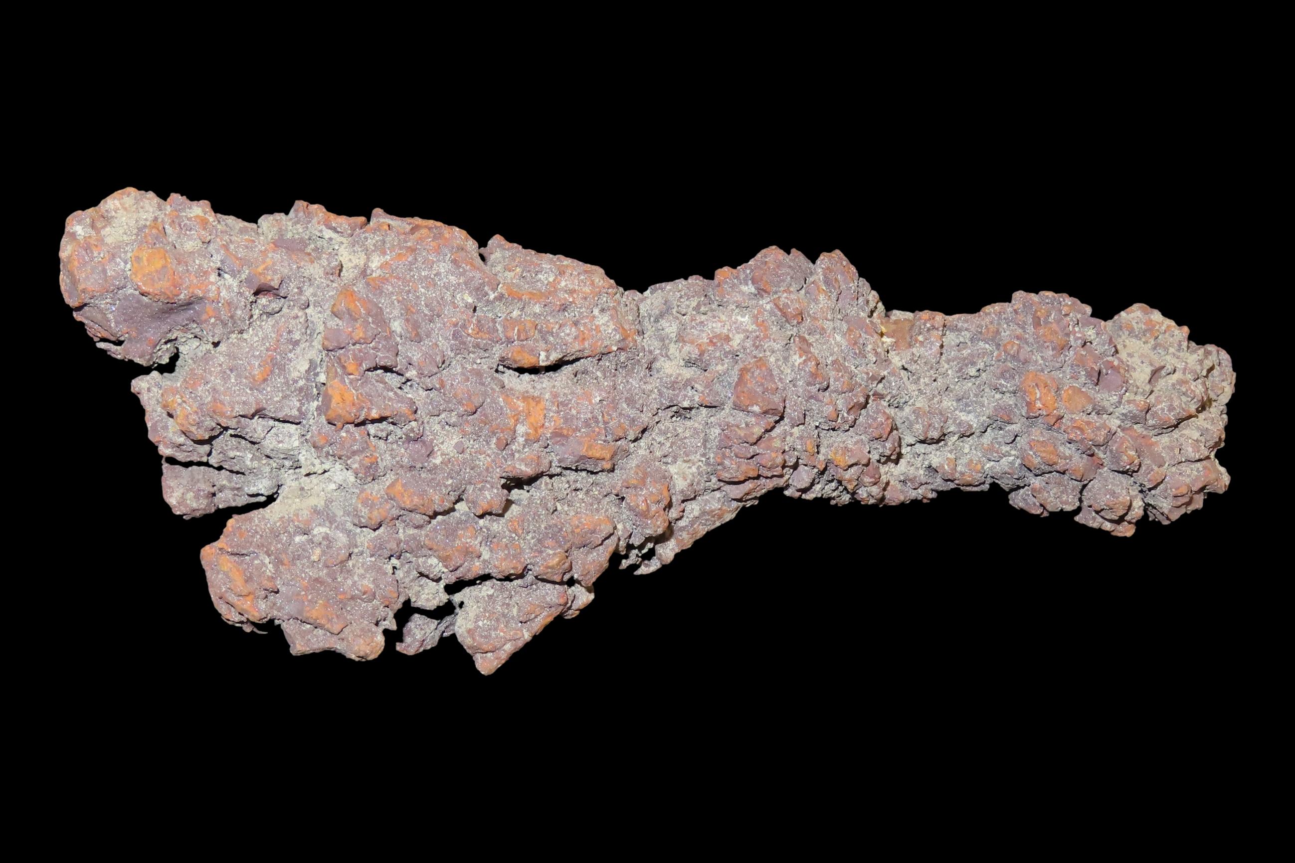 Large Dinosaur Poop Fossil, Coprolite, Appr. 100 Million Years old Fossilized Dino Dung, Great Well Formed Example!