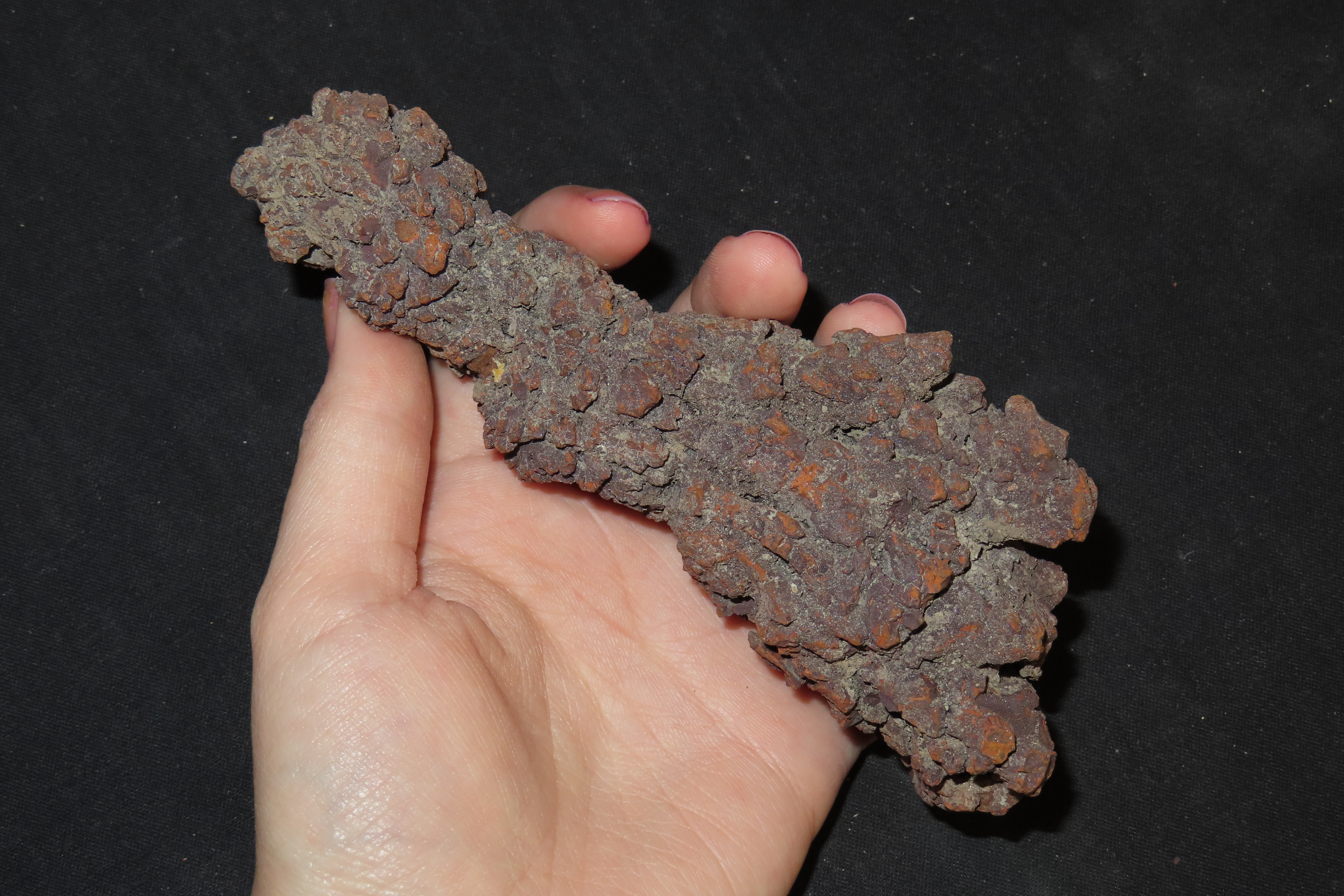 Large Dinosaur Poop Fossil, Coprolite, Appr. 100 Million Years old Fossilized Dino Dung, Great Well Formed Example!