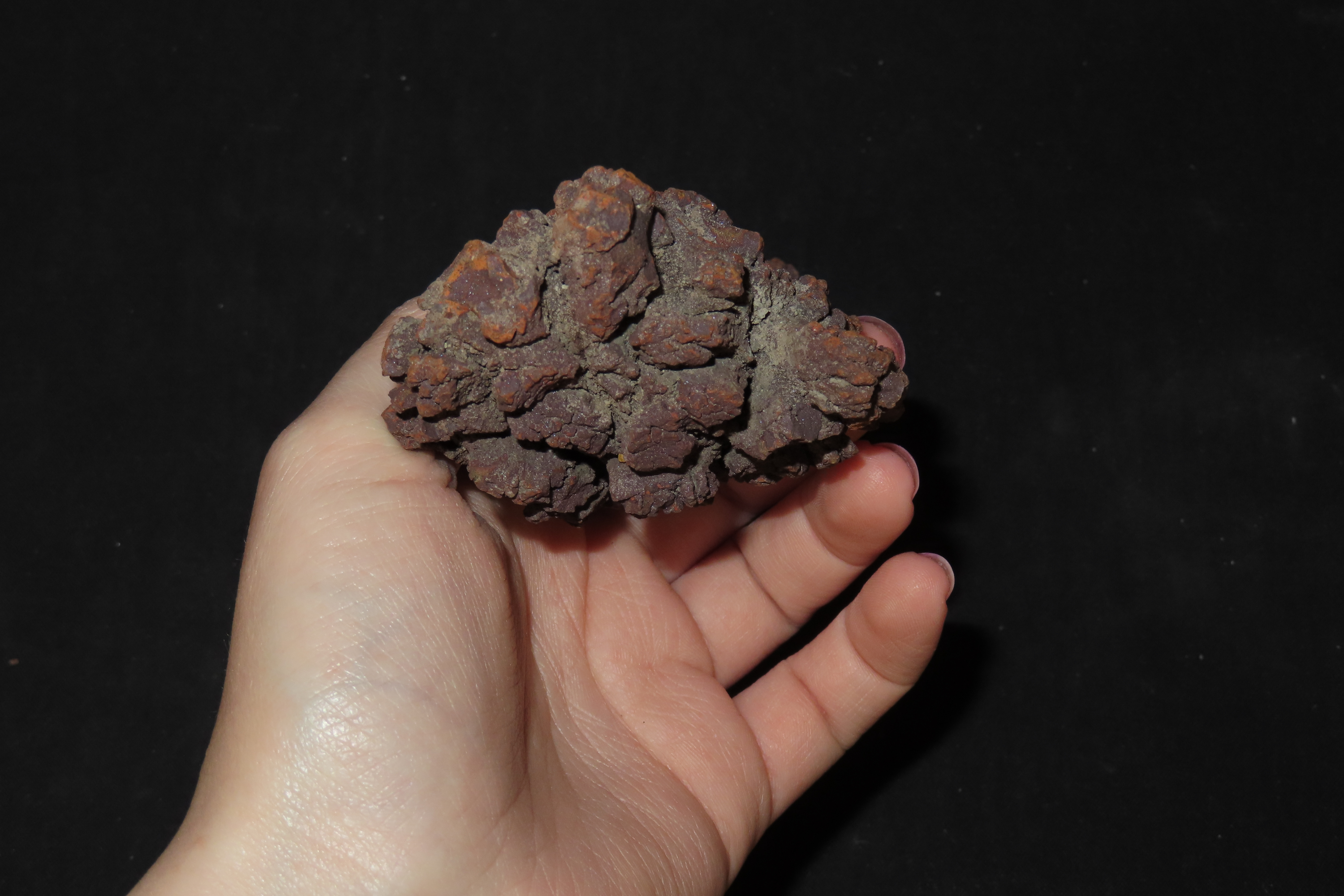 Large Dinosaur Poop Fossil, Coprolite, Appr. 100 Million Years old Fossilized Dino Dung, Great Well Formed Example!