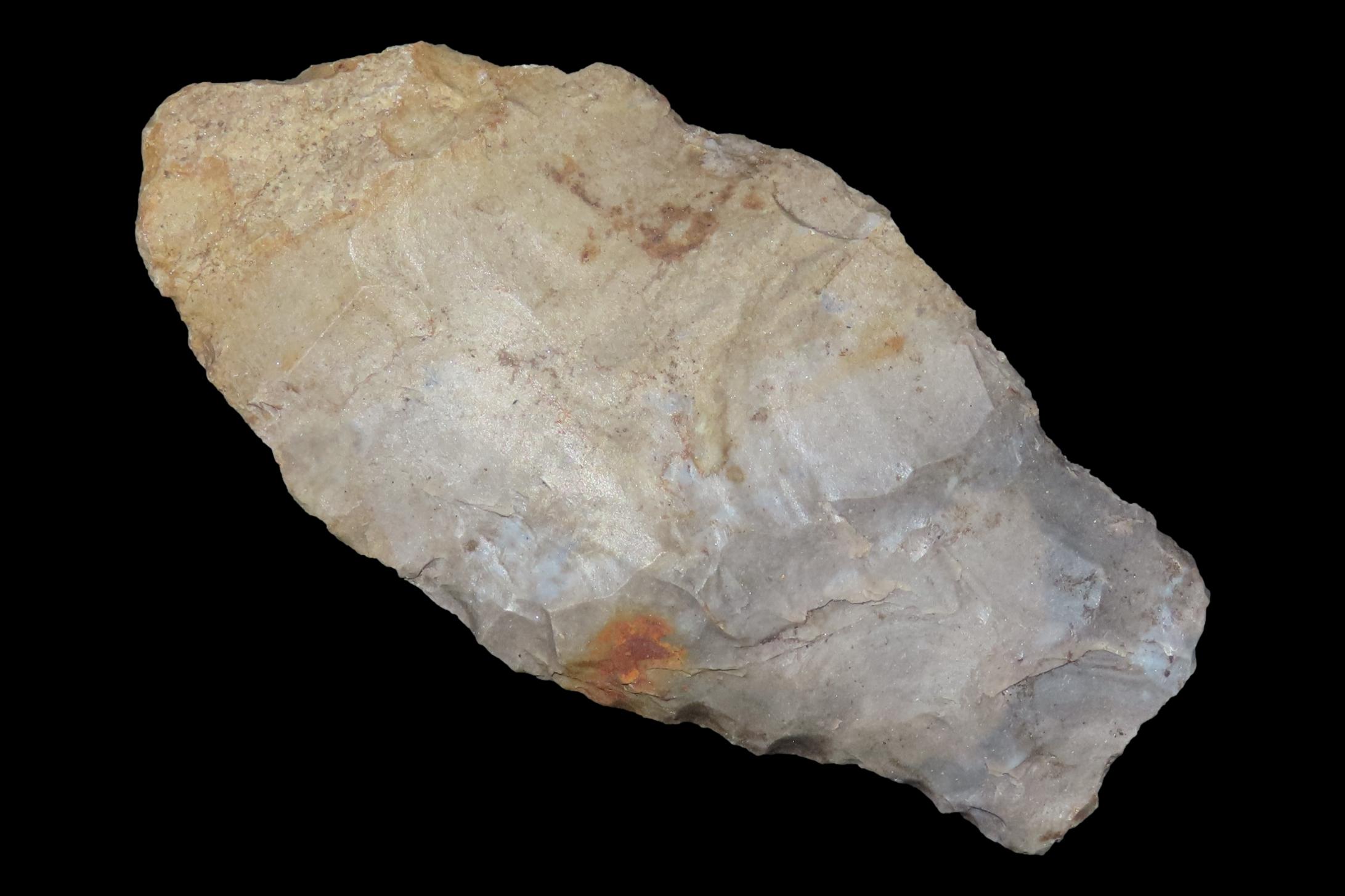 2 7/8" Paleo Stingtown Lance found in Stewart County Tennessee. Indian Arrowhead, Artifact.