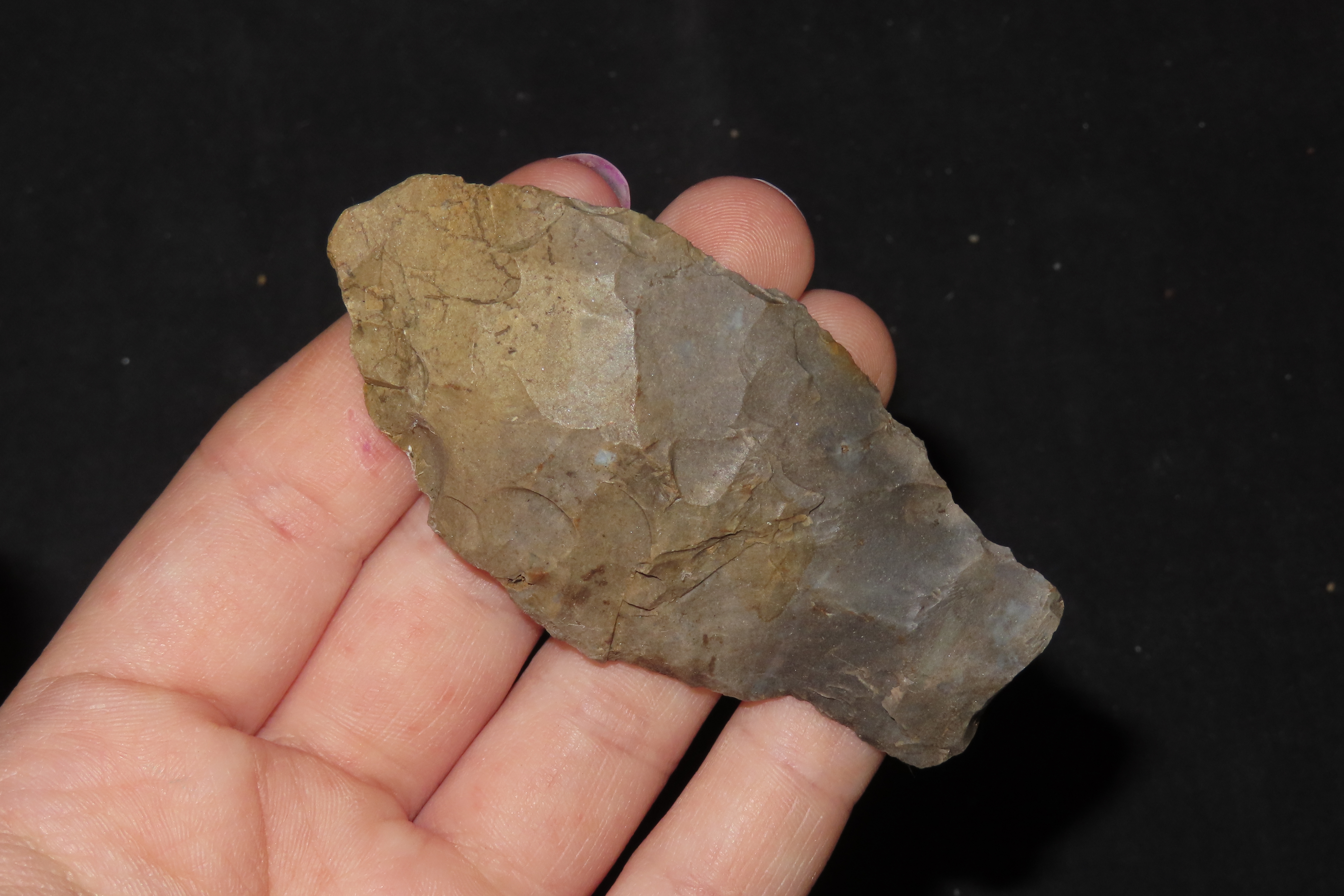 2 7/8" Paleo Stingtown Lance found in Stewart County Tennessee. Indian Arrowhead, Artifact.