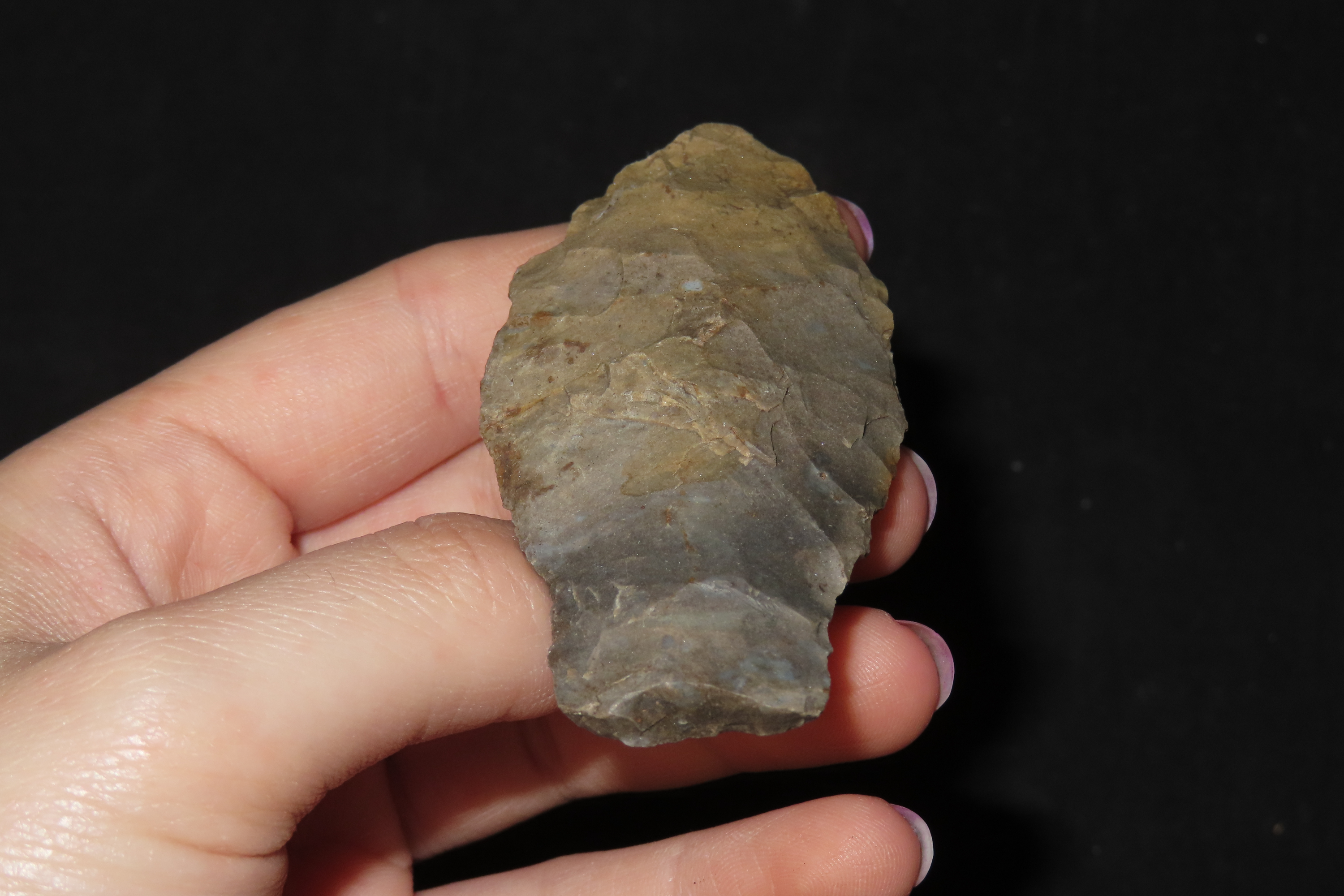 2 7/8" Paleo Stingtown Lance found in Stewart County Tennessee. Indian Arrowhead, Artifact.