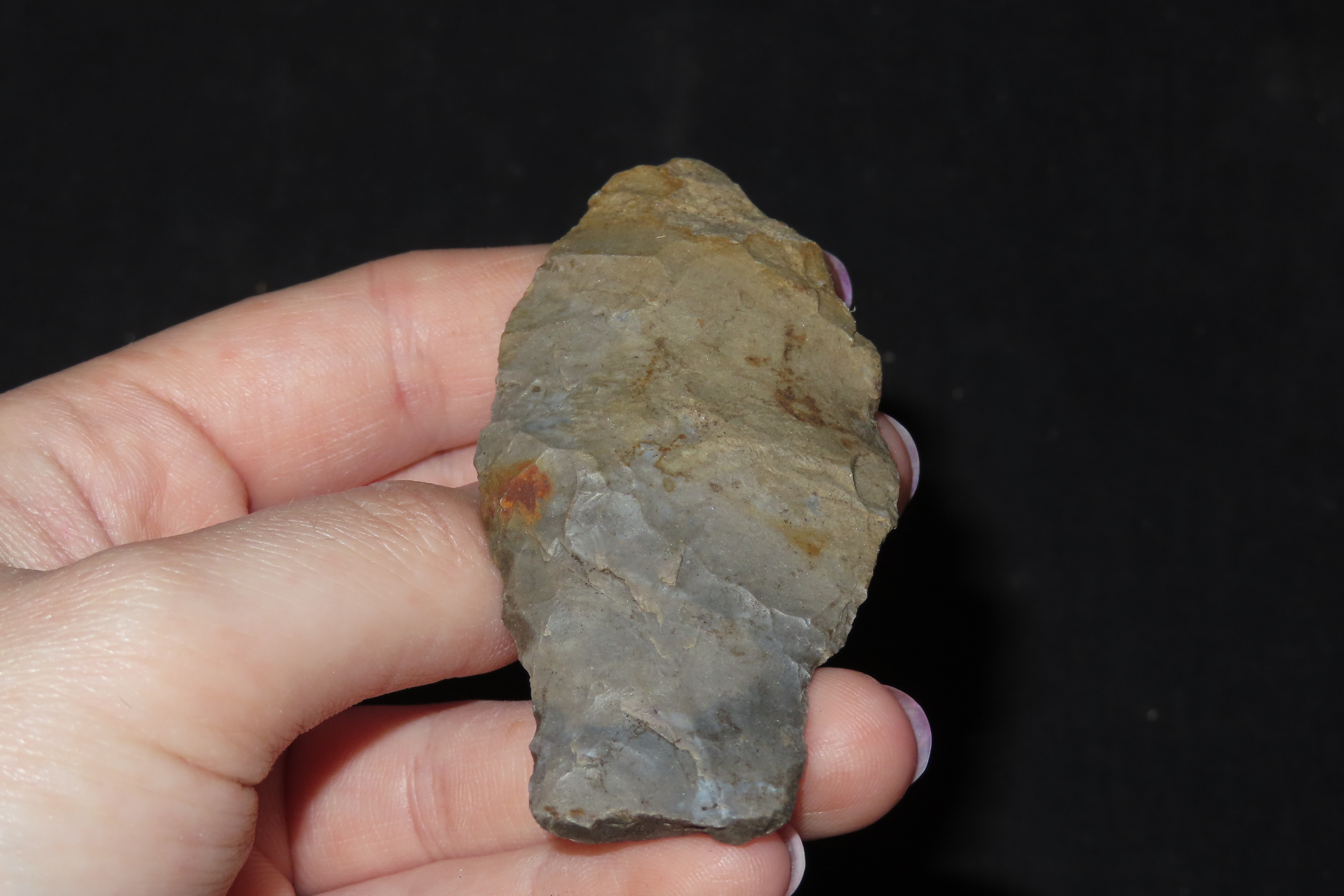 2 7/8" Paleo Stingtown Lance found in Stewart County Tennessee. Indian Arrowhead, Artifact.