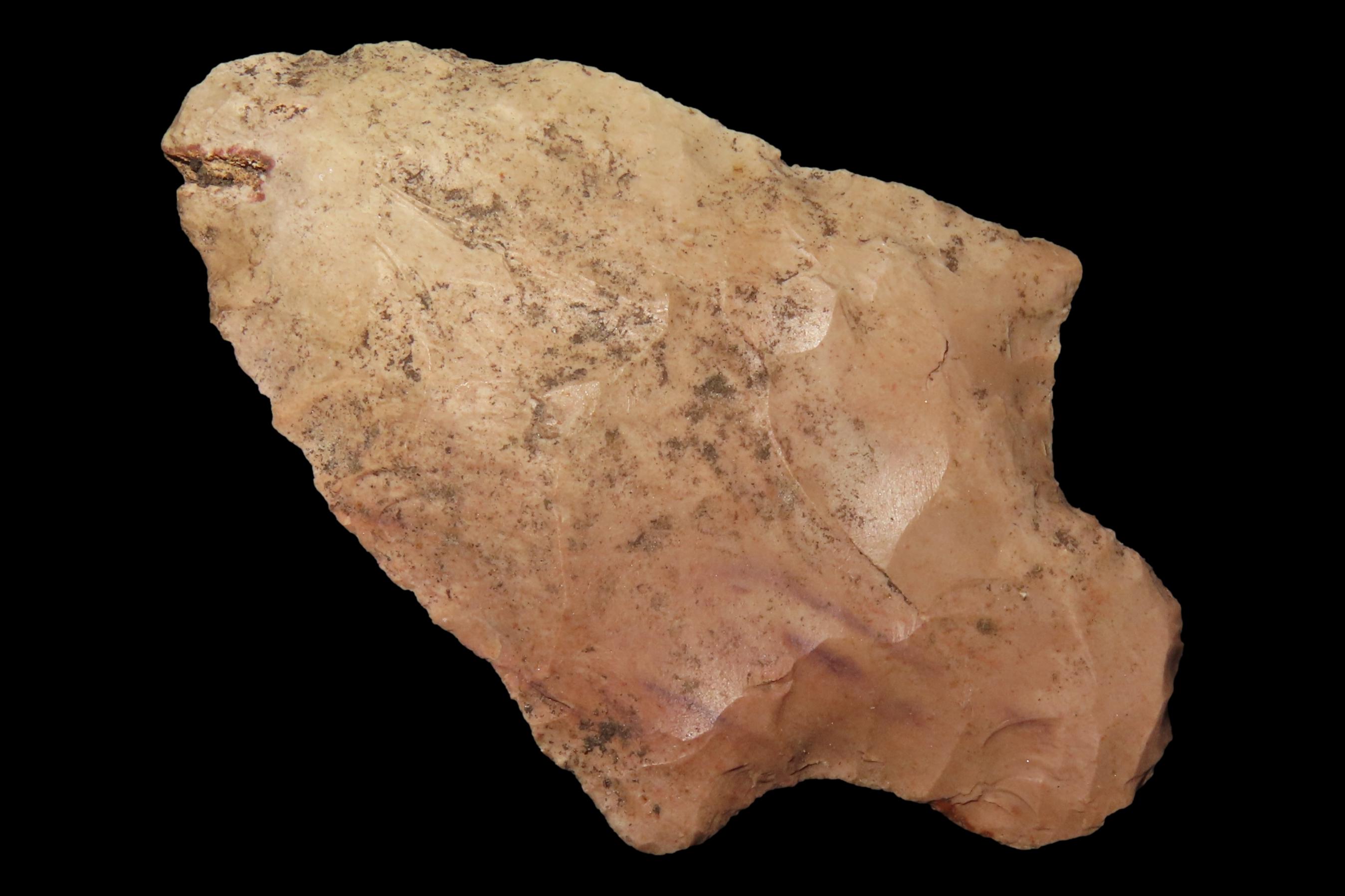2 1/2" Marion found in Hernando County Florida. Indian Arrowhead, Artifact.
