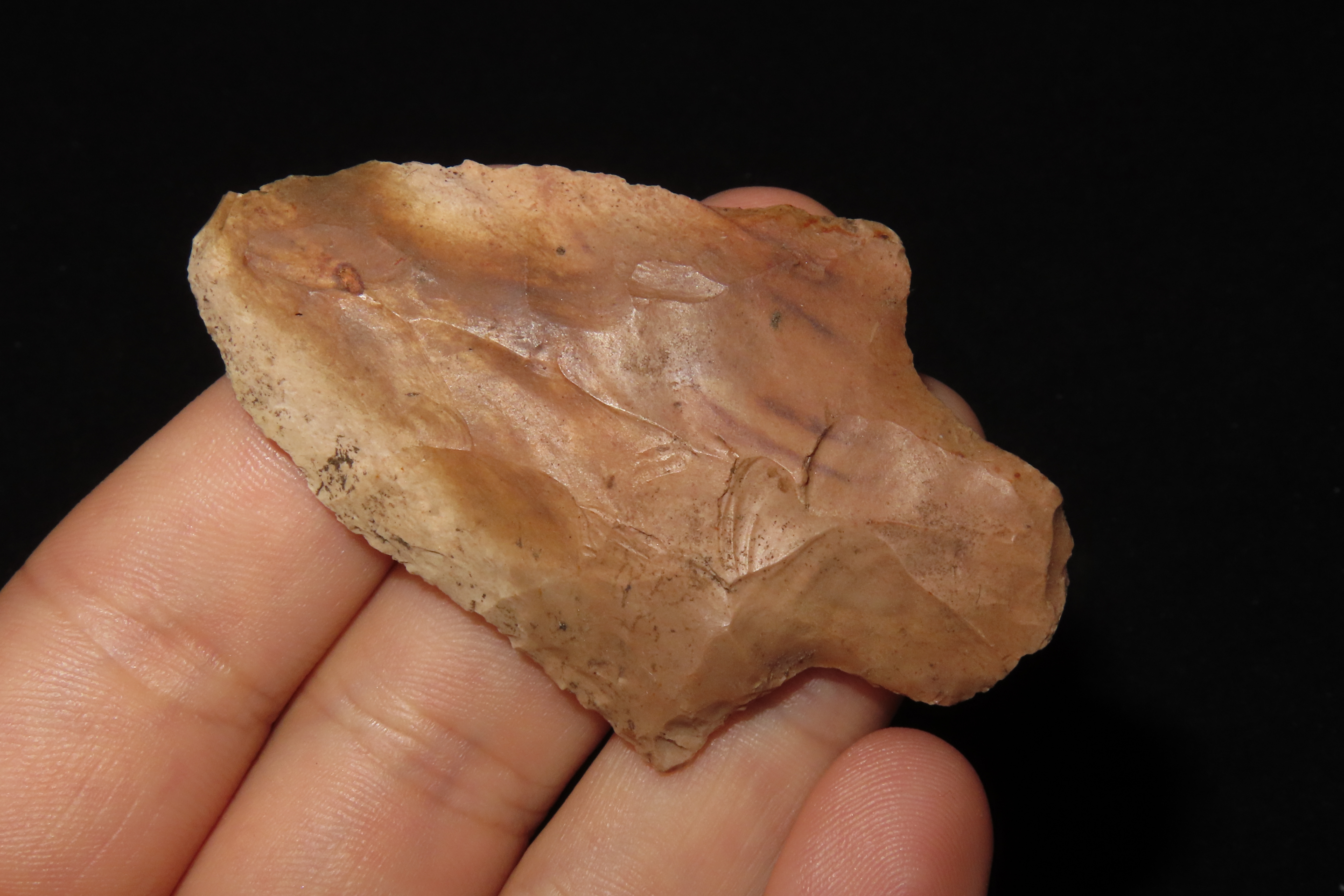 2 1/2" Marion found in Hernando County Florida. Indian Arrowhead, Artifact.
