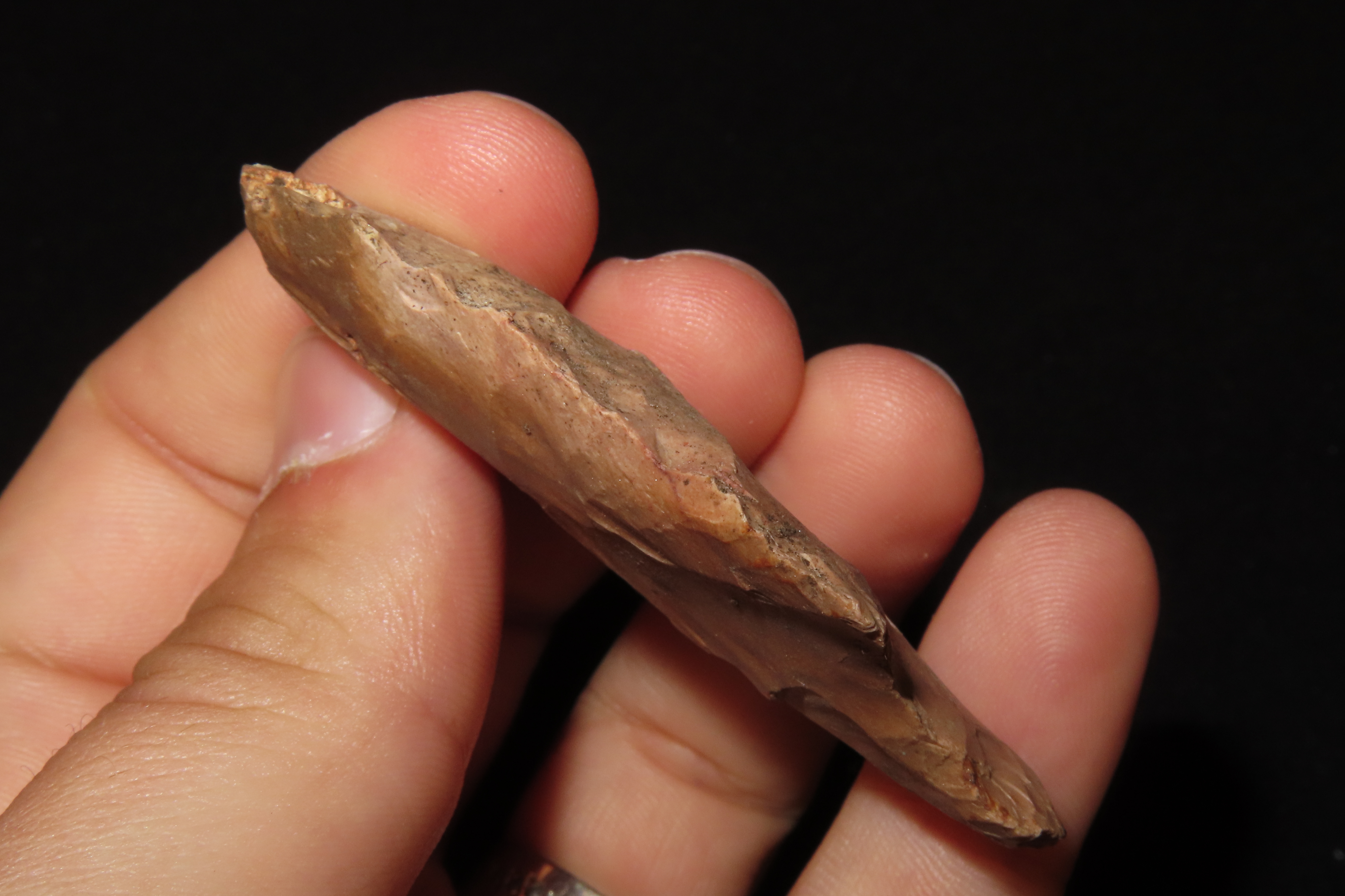 2 1/2" Marion found in Hernando County Florida. Indian Arrowhead, Artifact.
