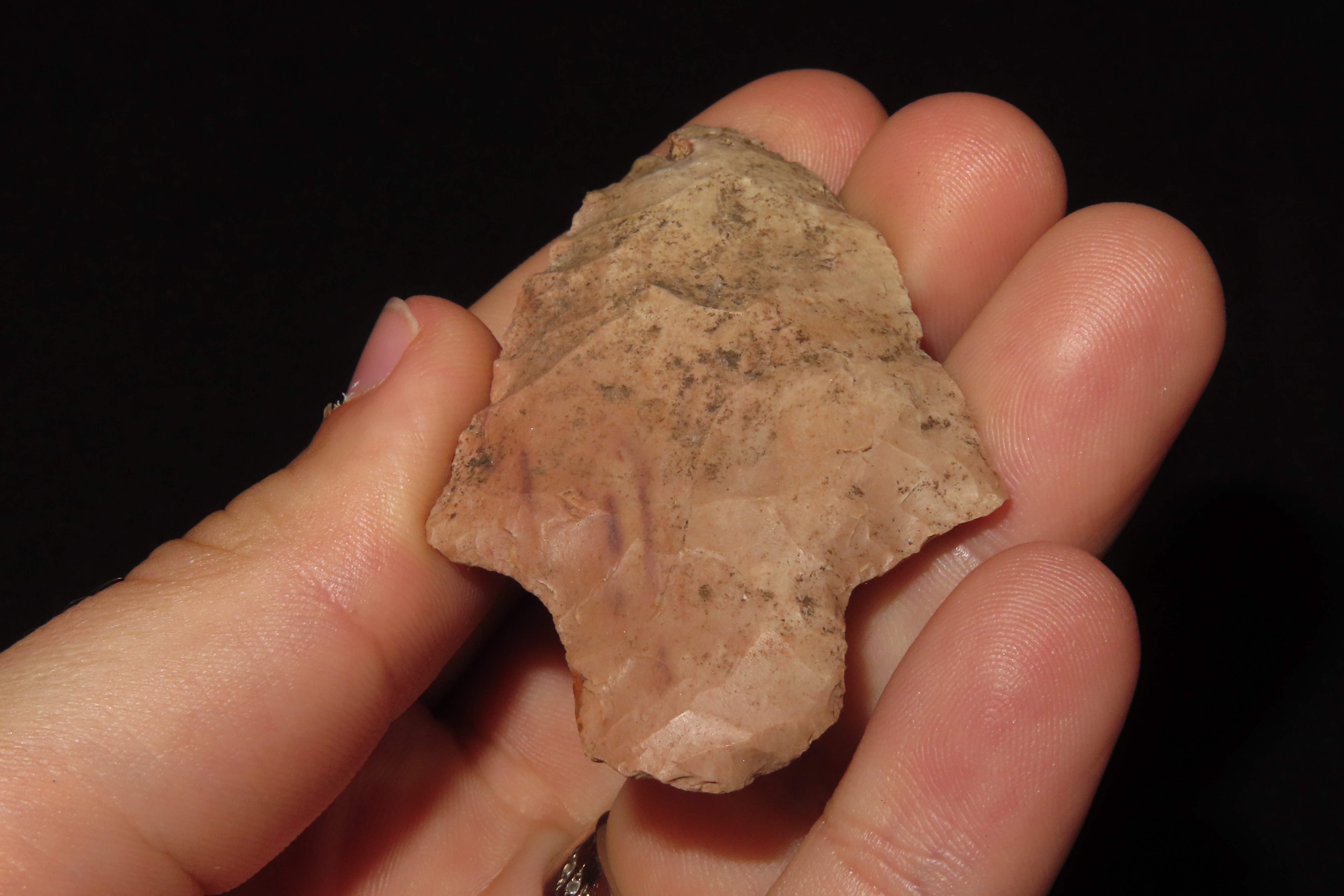 2 1/2" Marion found in Hernando County Florida. Indian Arrowhead, Artifact.