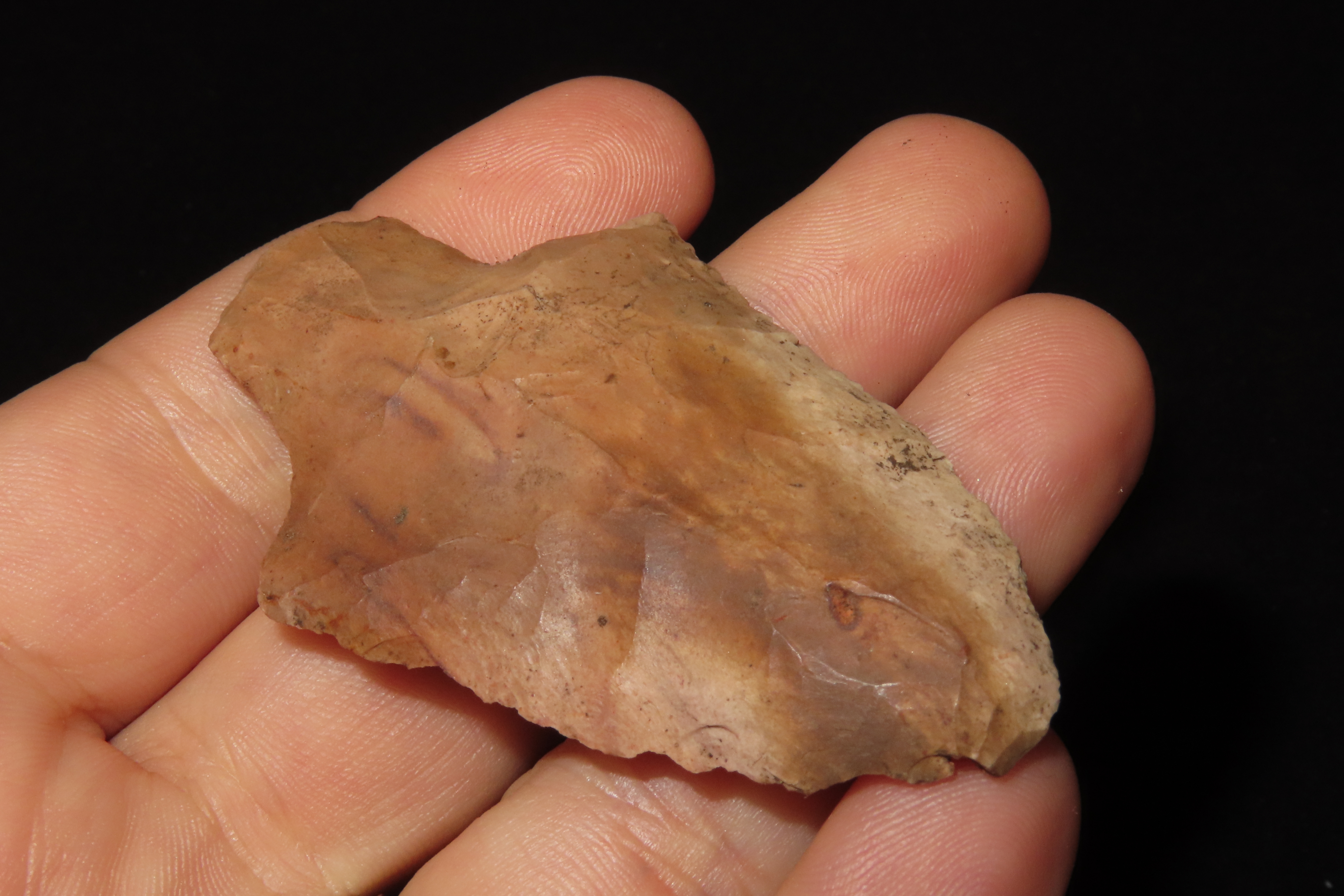 2 1/2" Marion found in Hernando County Florida. Indian Arrowhead, Artifact.