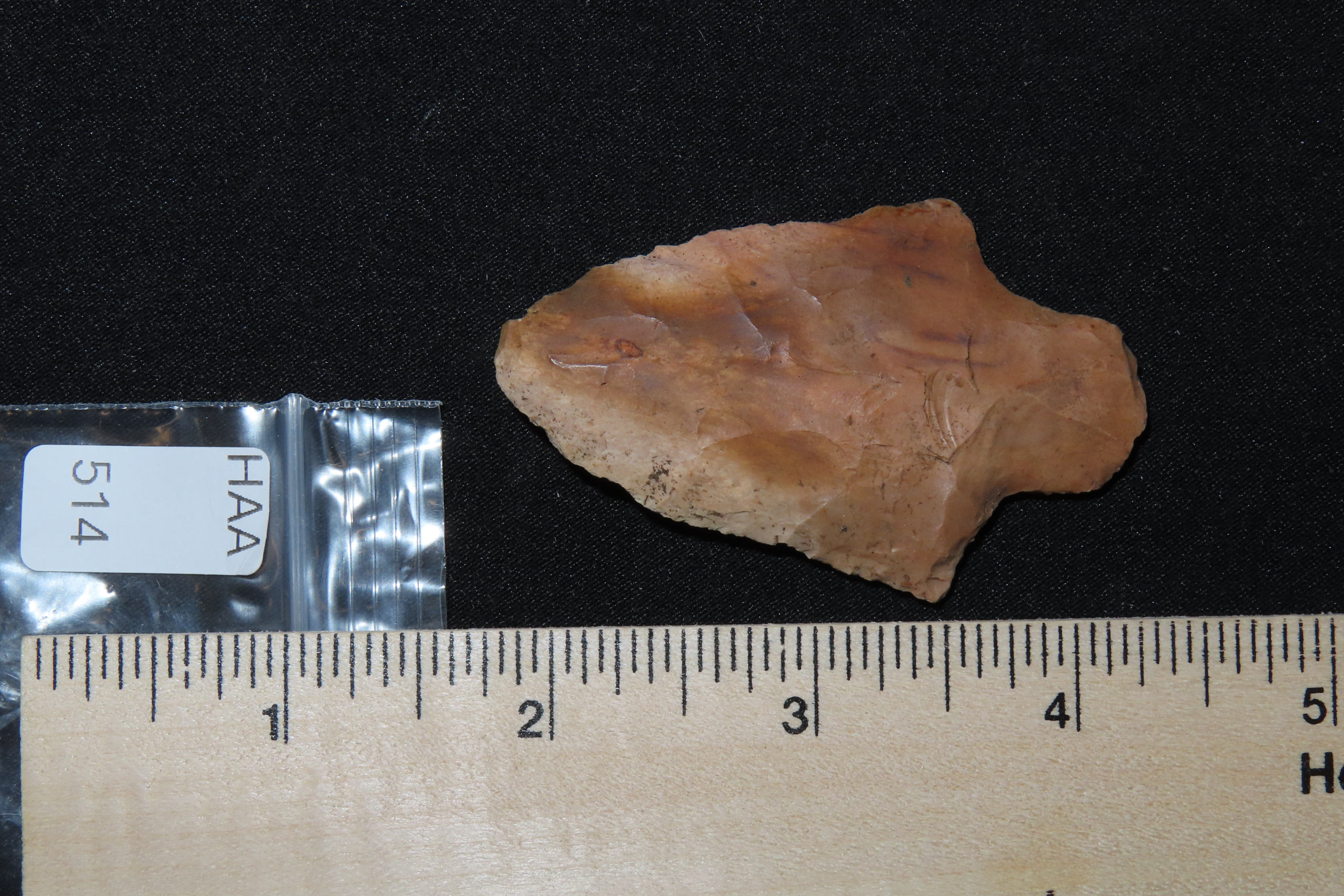 2 1/2" Marion found in Hernando County Florida. Indian Arrowhead, Artifact.