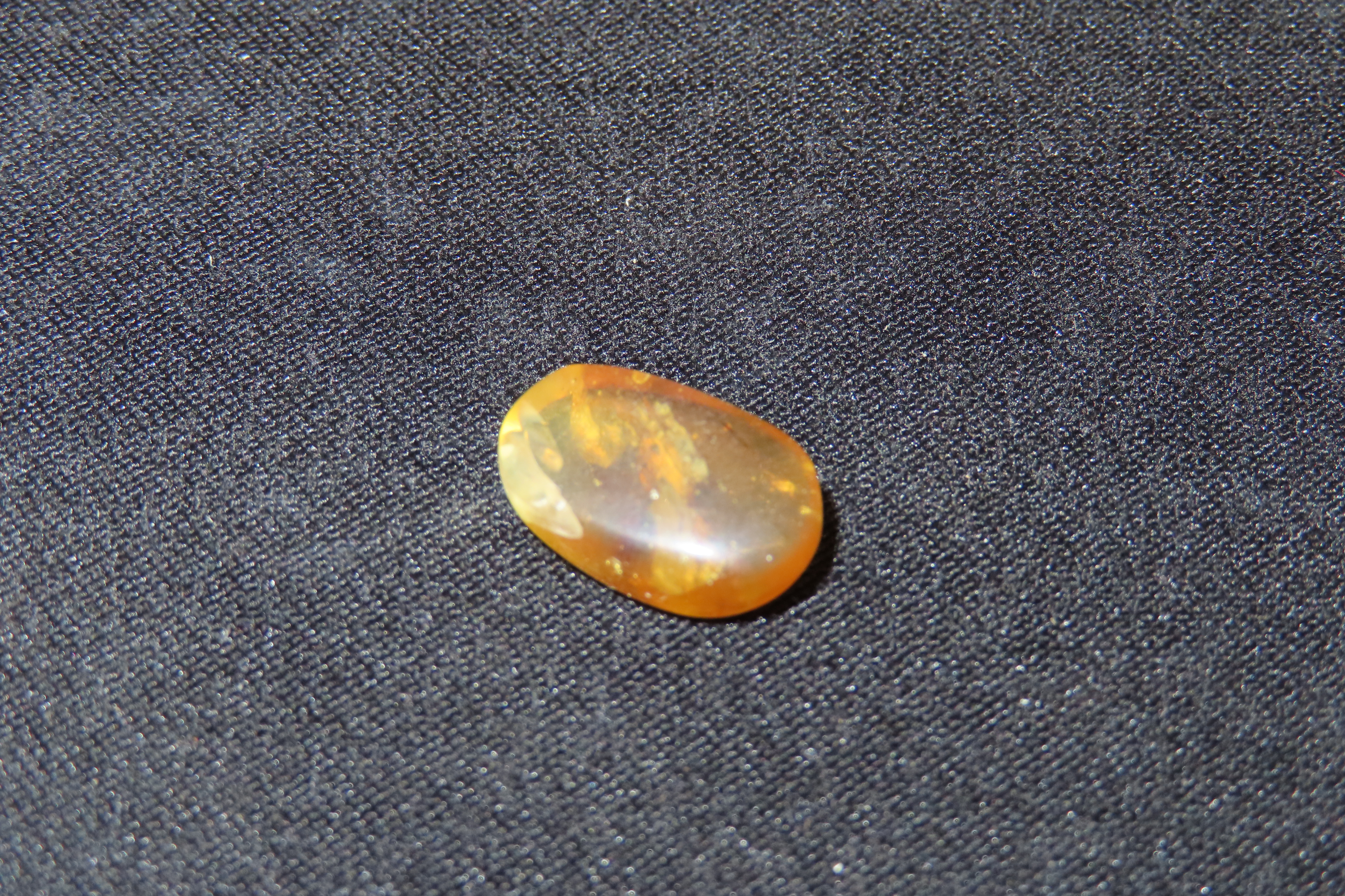 Fossil Amber with Encased Insect, Great Specimen with Easily Visible Bug. 100 Million Years Old, from the Hukawng Valley, Burma-Myanmar. Bur