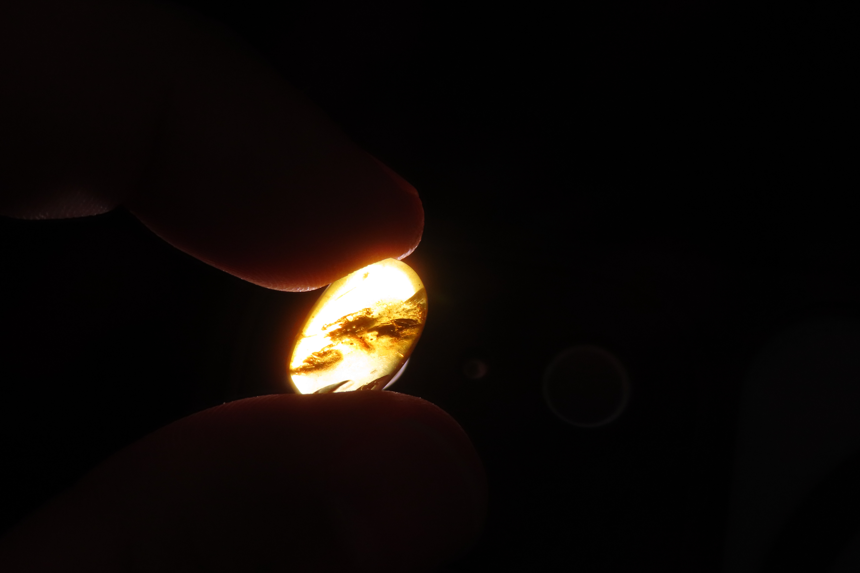 Fossil Amber with Encased Insect, Great Specimen with Easily Visible Bug. 100 Million Years Old, from the Hukawng Valley, Burma-Myanmar. Bur
